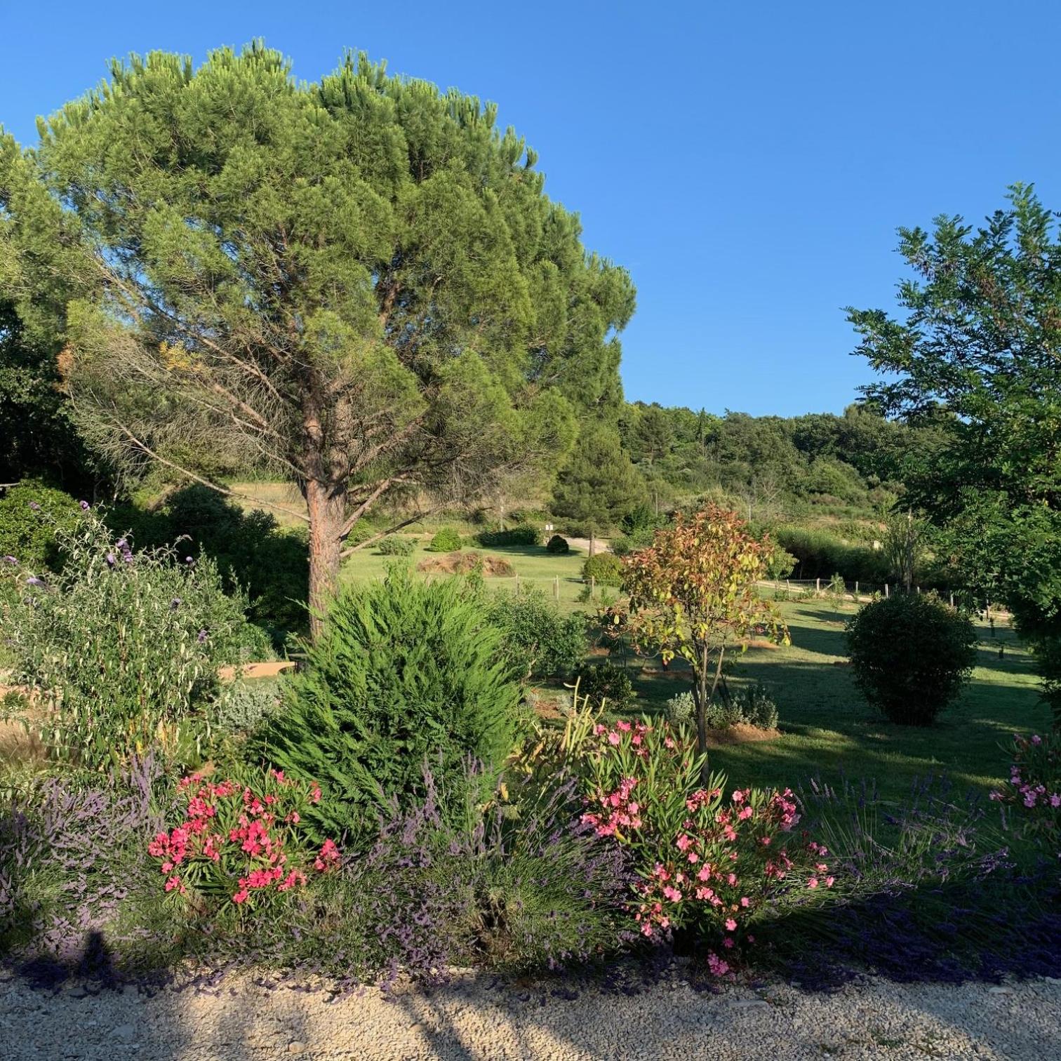 Chambre d'hôtes Le Cèdre view 4