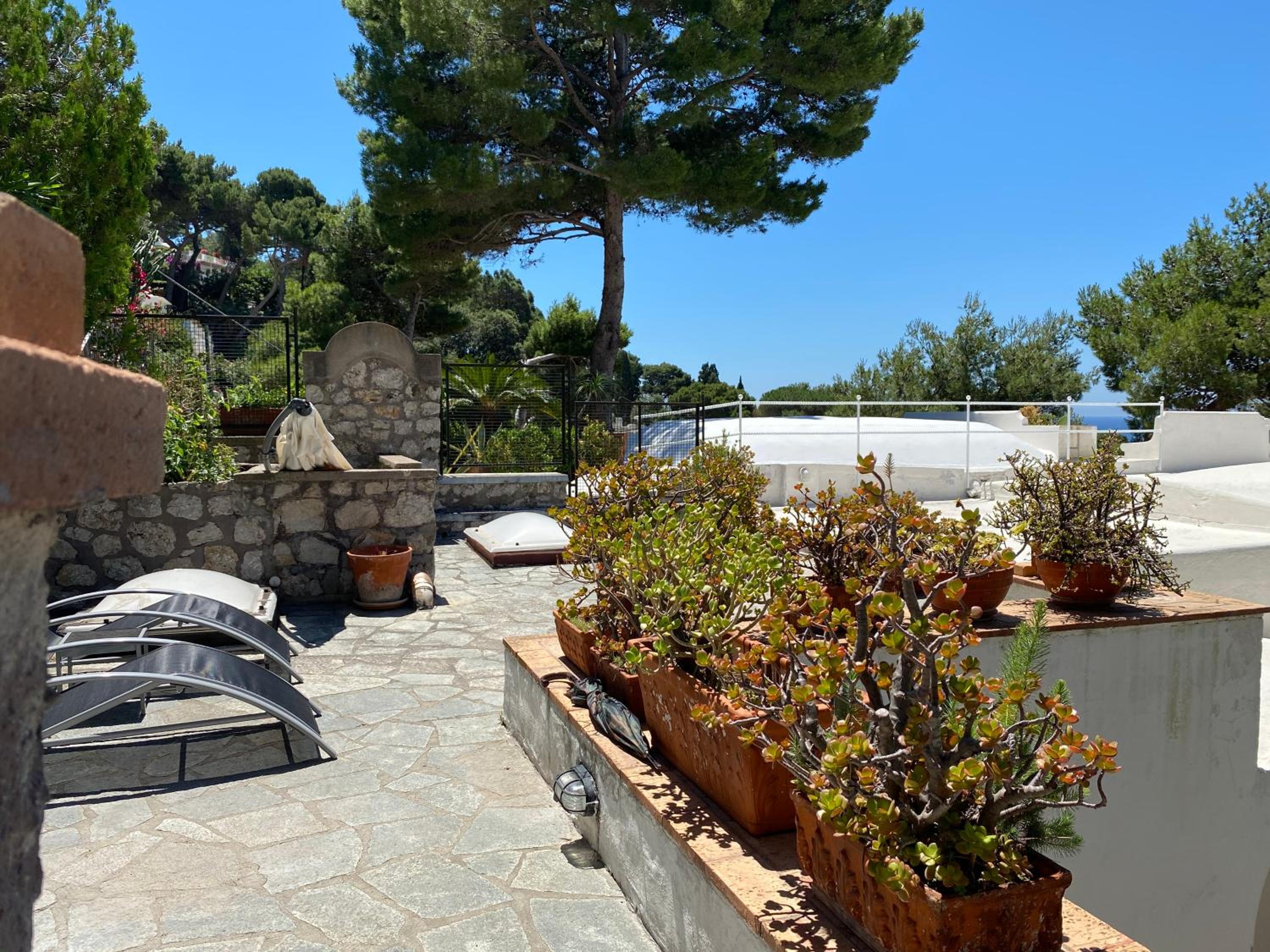 Regina di Capri - villa Occhio Marino -