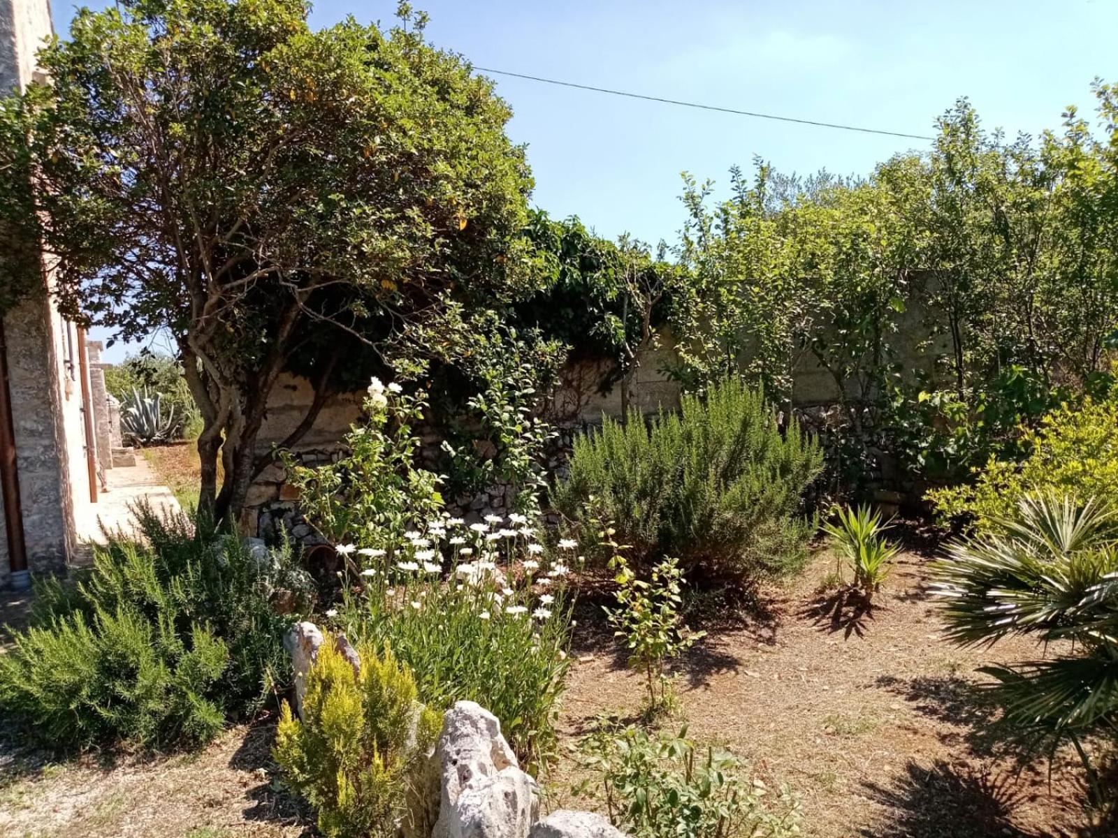 Il Trullo E Il Fortino view 2