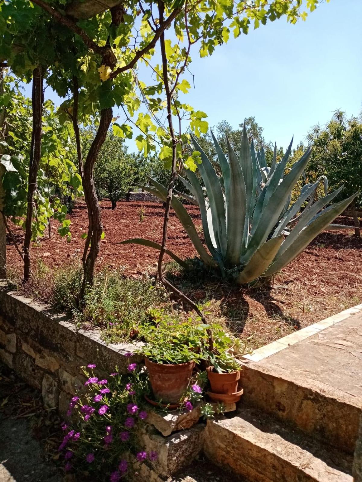 Il Trullo E Il Fortino view 3