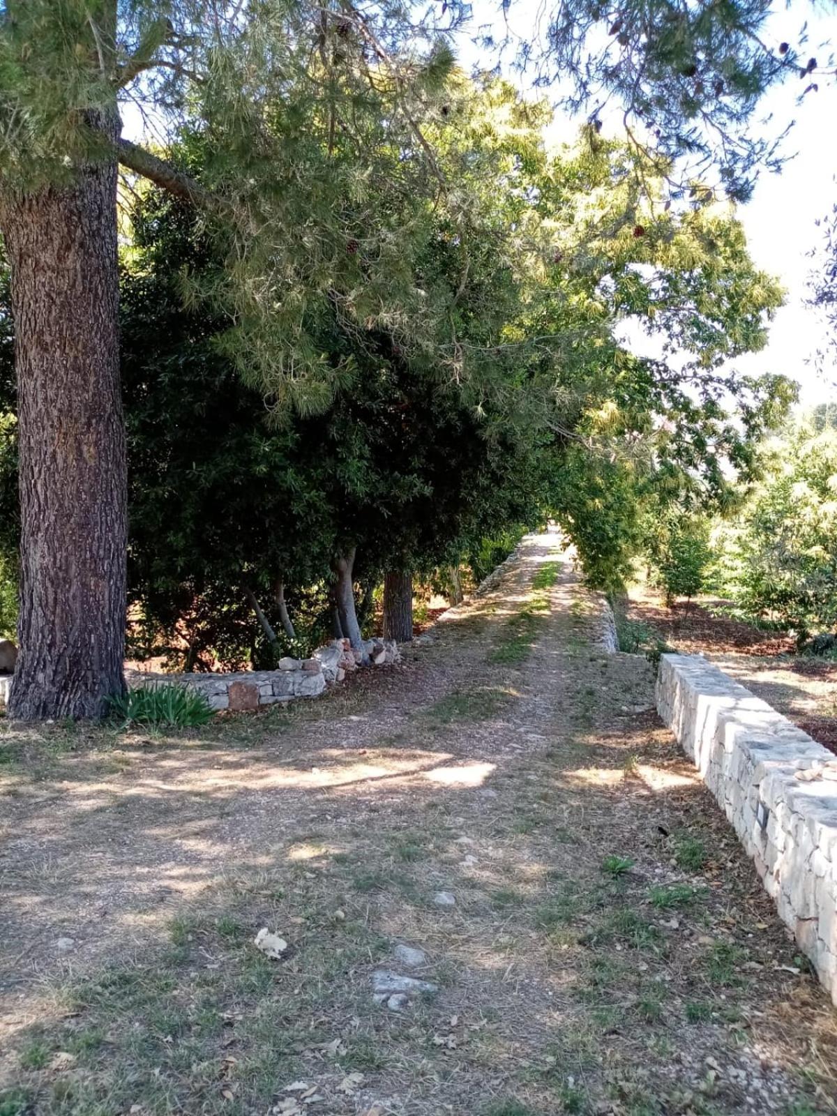 Il Trullo E Il Fortino view 5