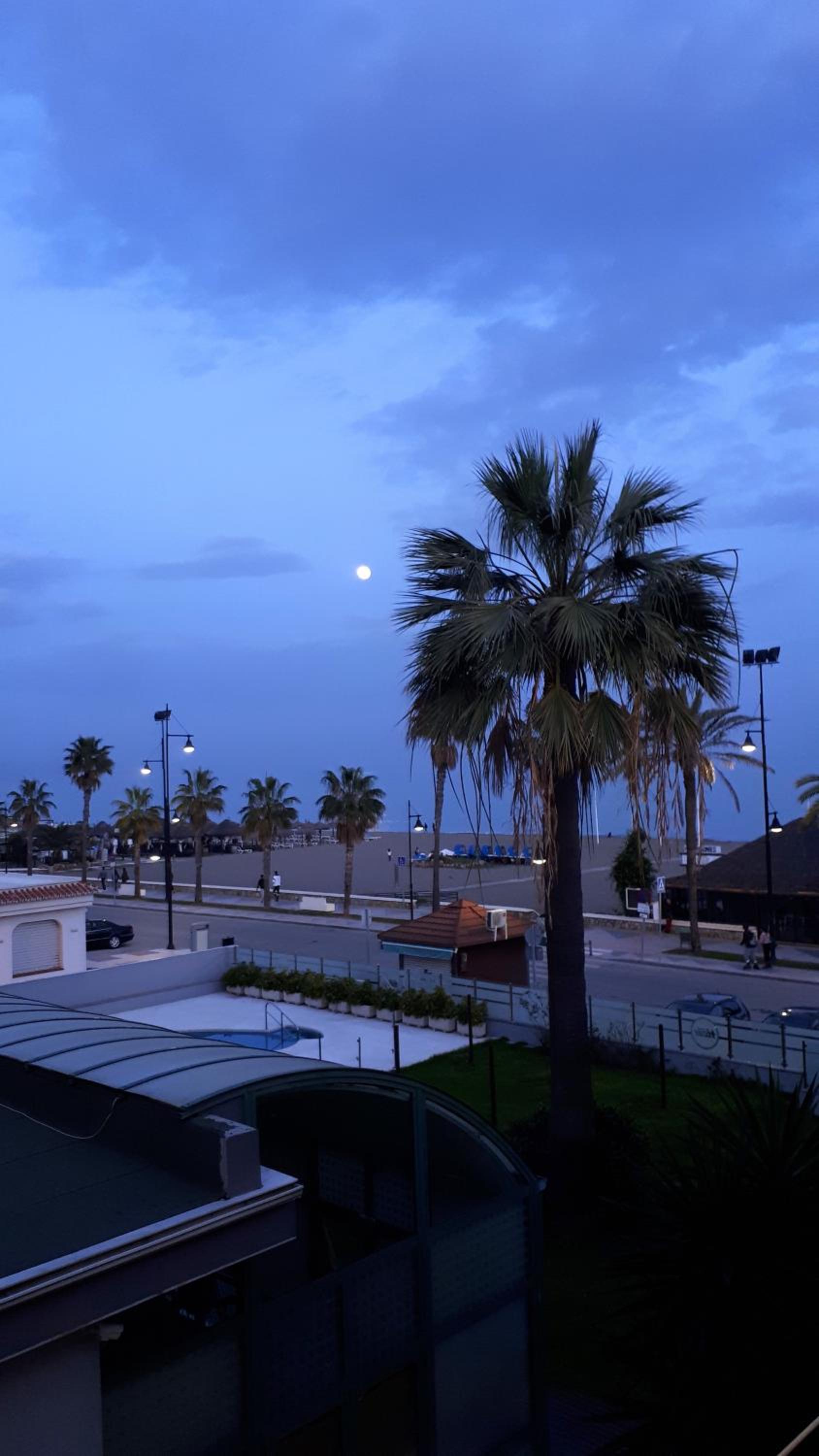 Lido Beachfront photo 5