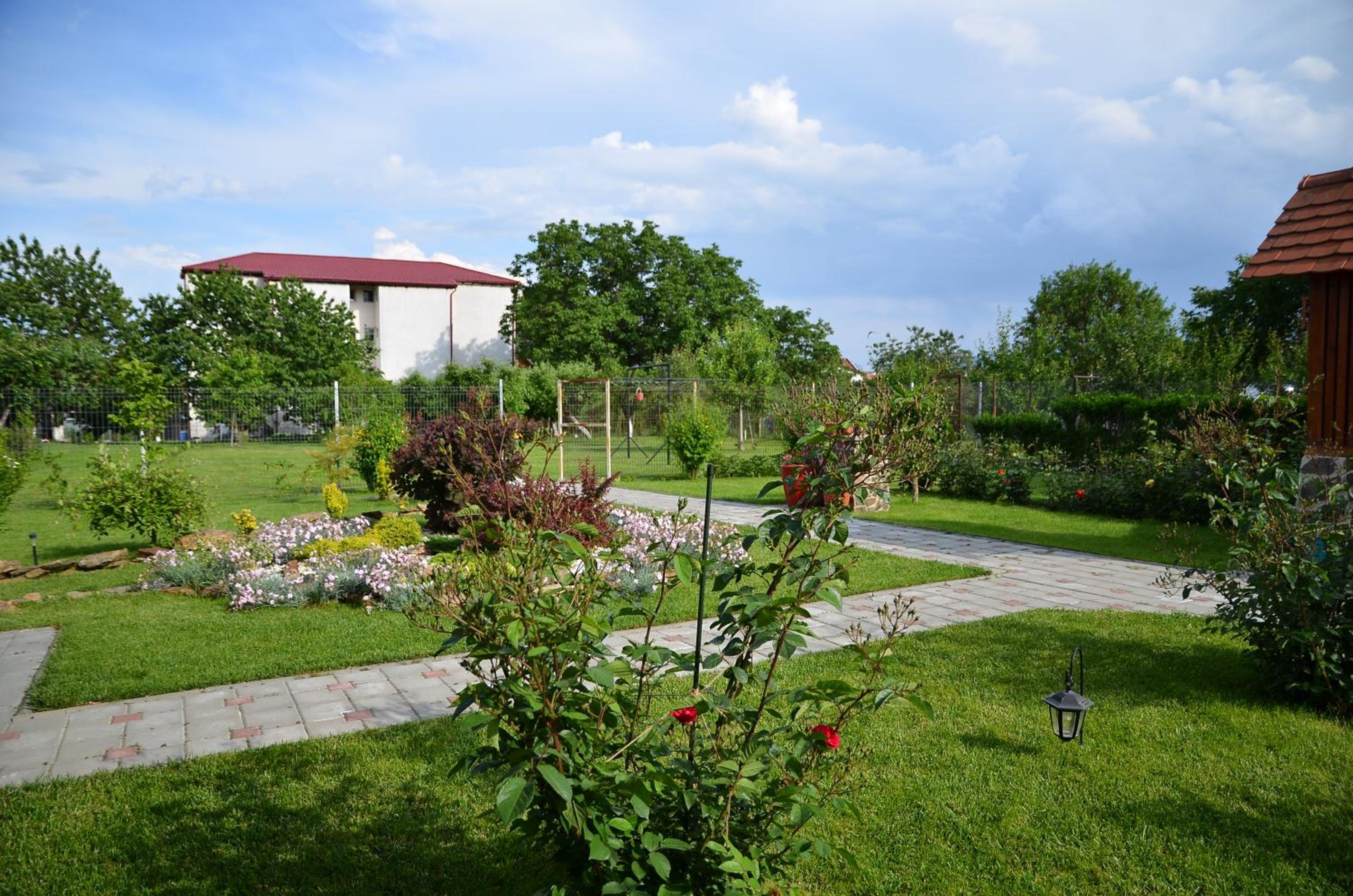 Photo 9
