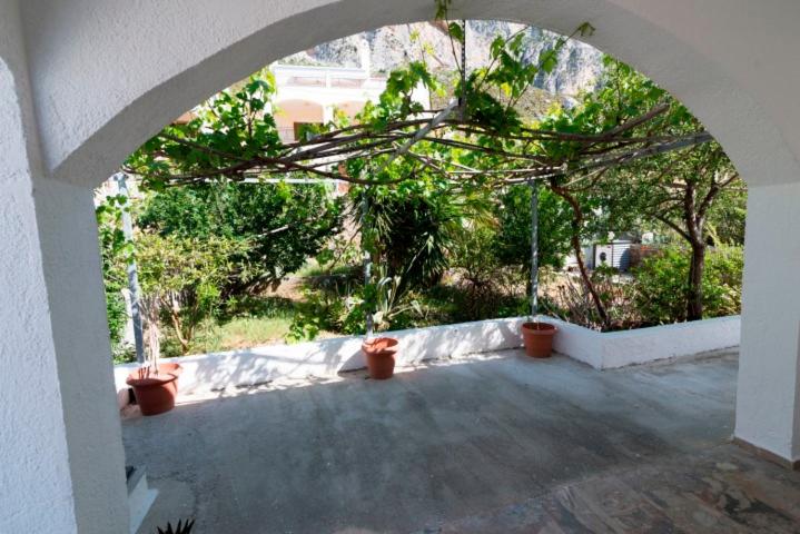 Photo 49