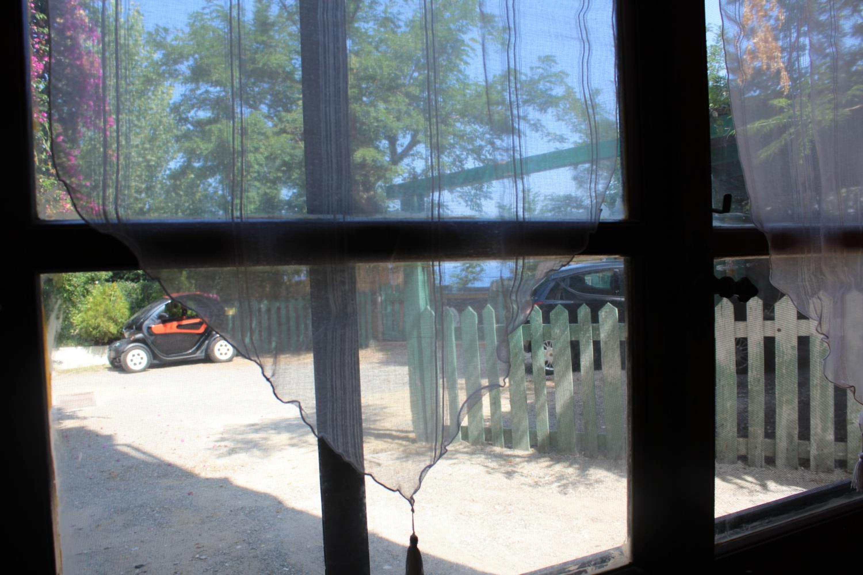 Ellysblue Guesthouse photo 4