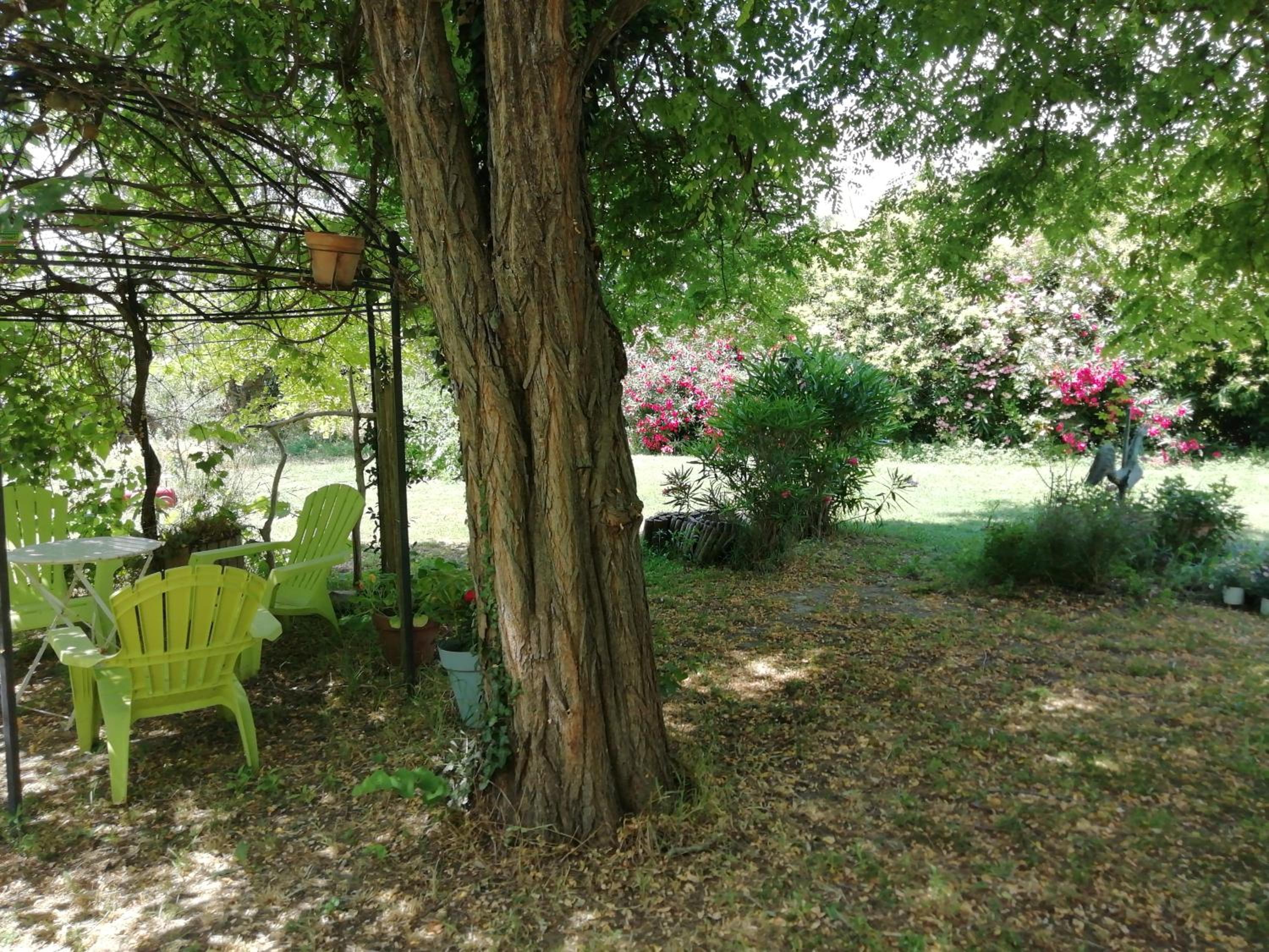 Photo 15