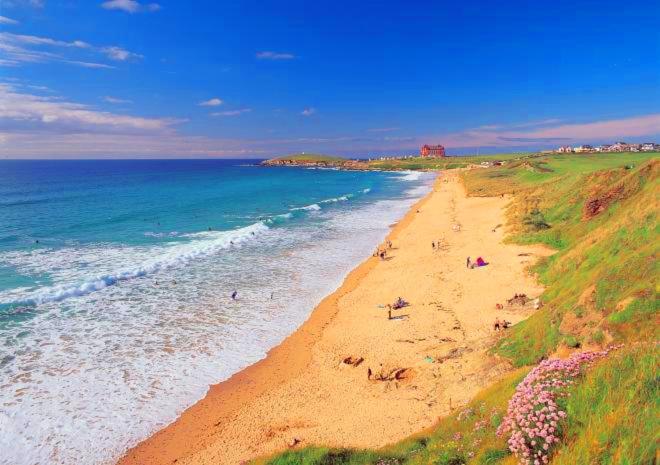 The Black Palms - Fistral Beach view 4