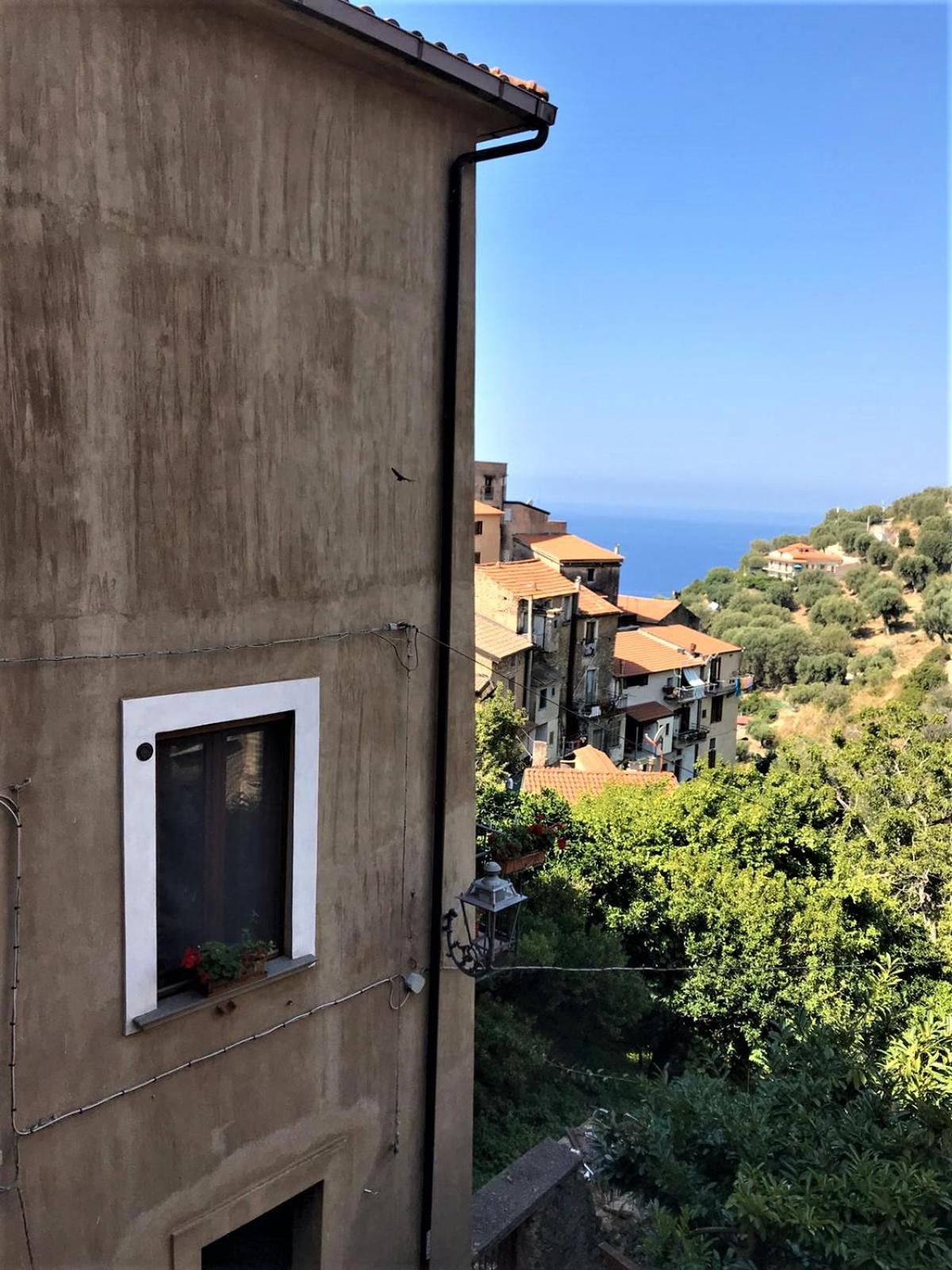Angelica photo 3