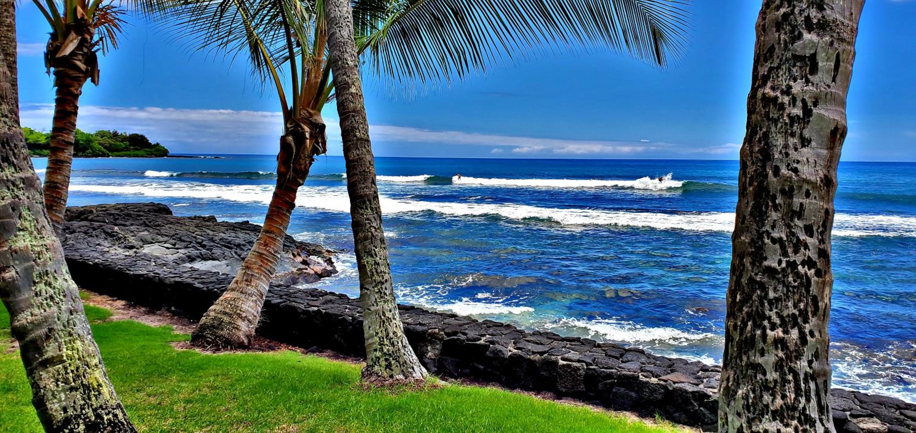 Ali'i Banyan Breeze view 3