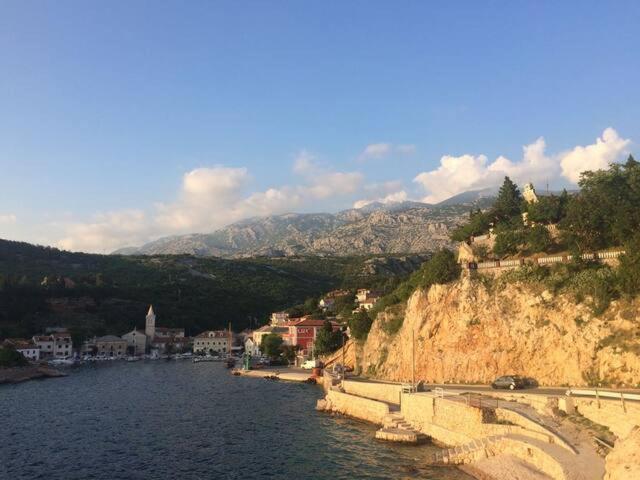 Wil Vannese view 5