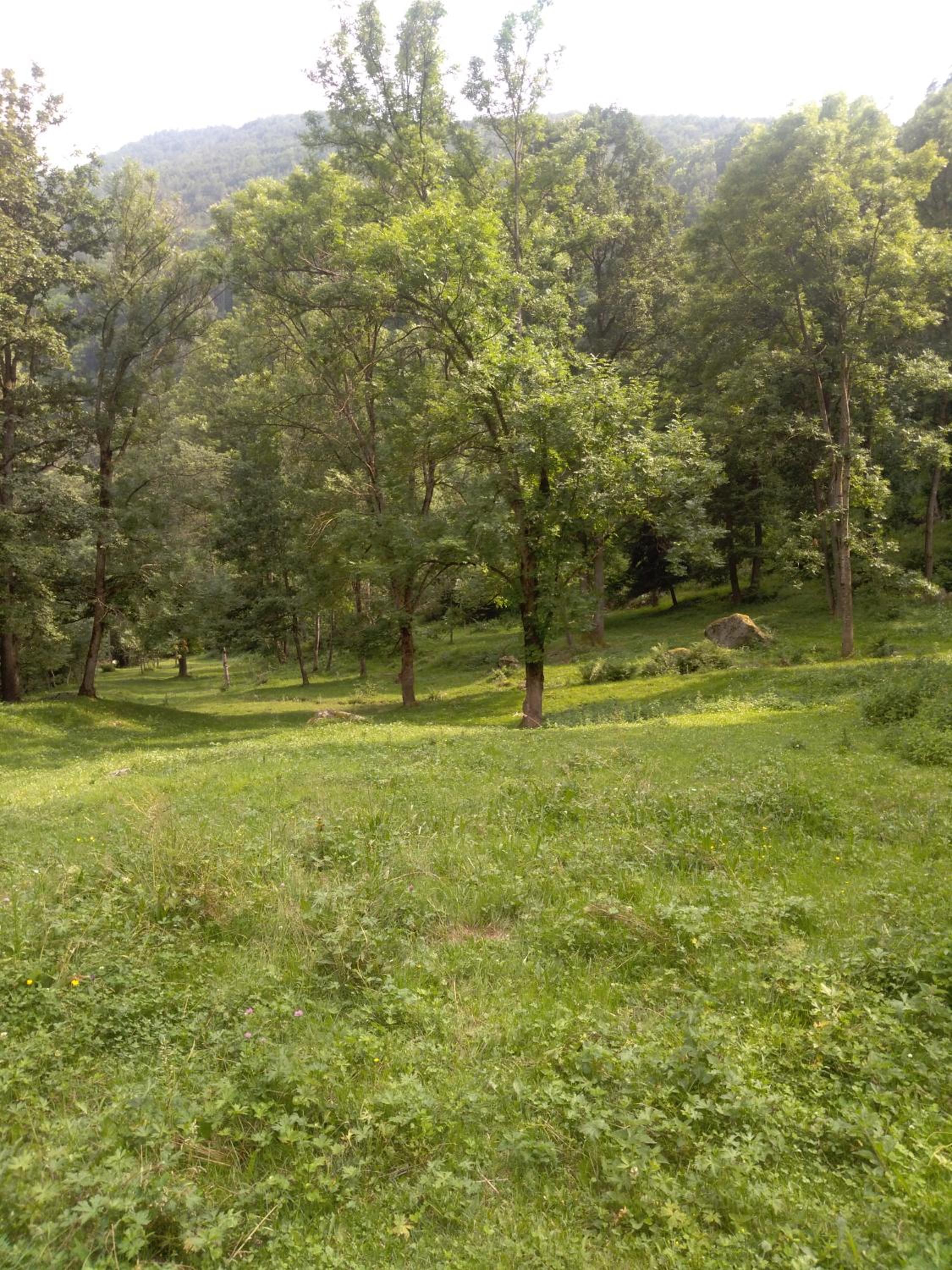 Agriturismo Ciambun