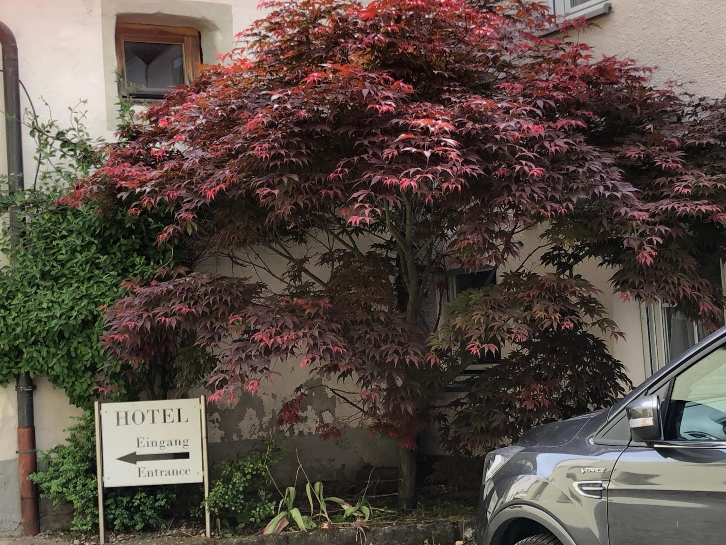 Hotel Kastanienbaum