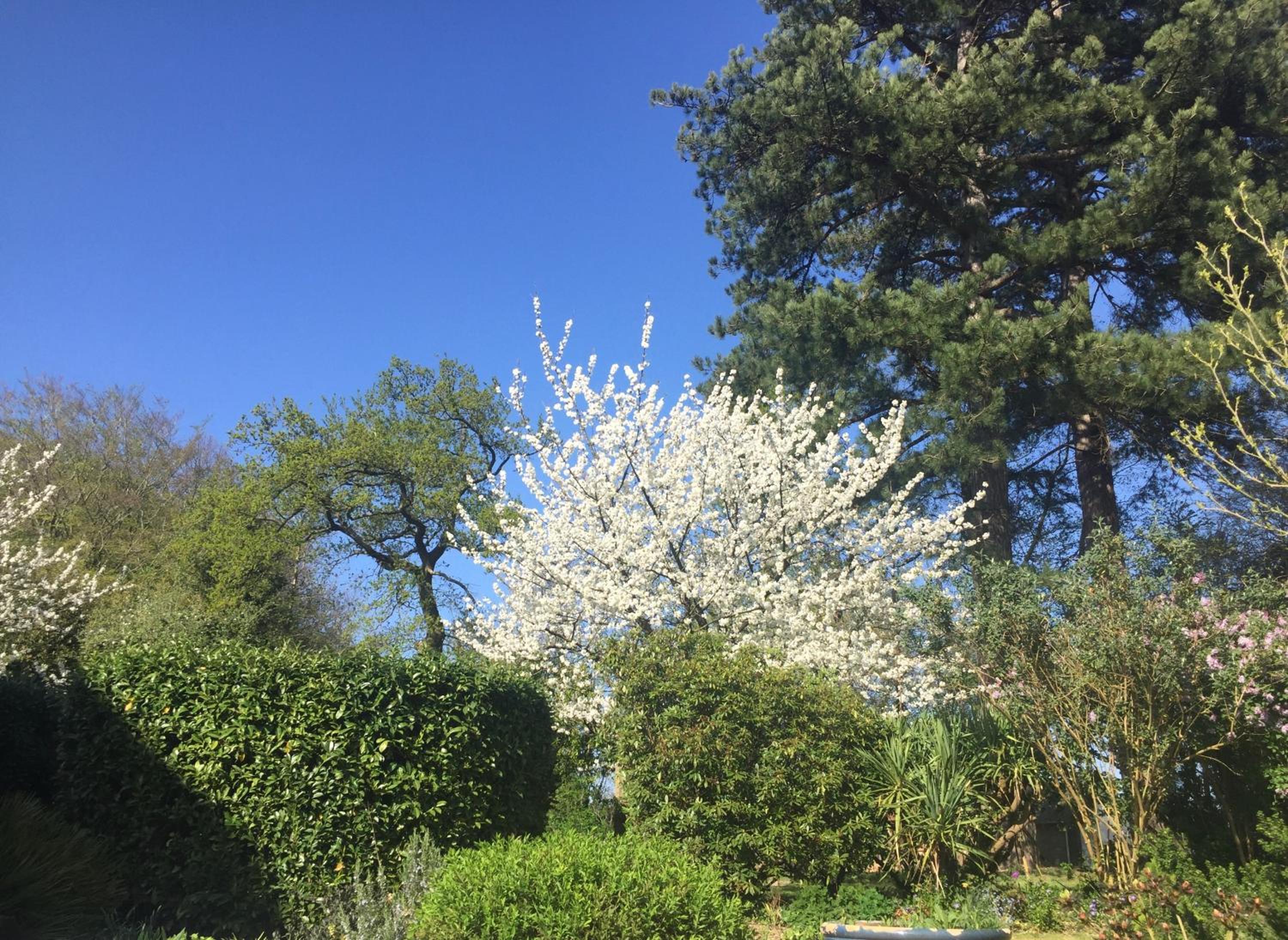 Les Sous Bois