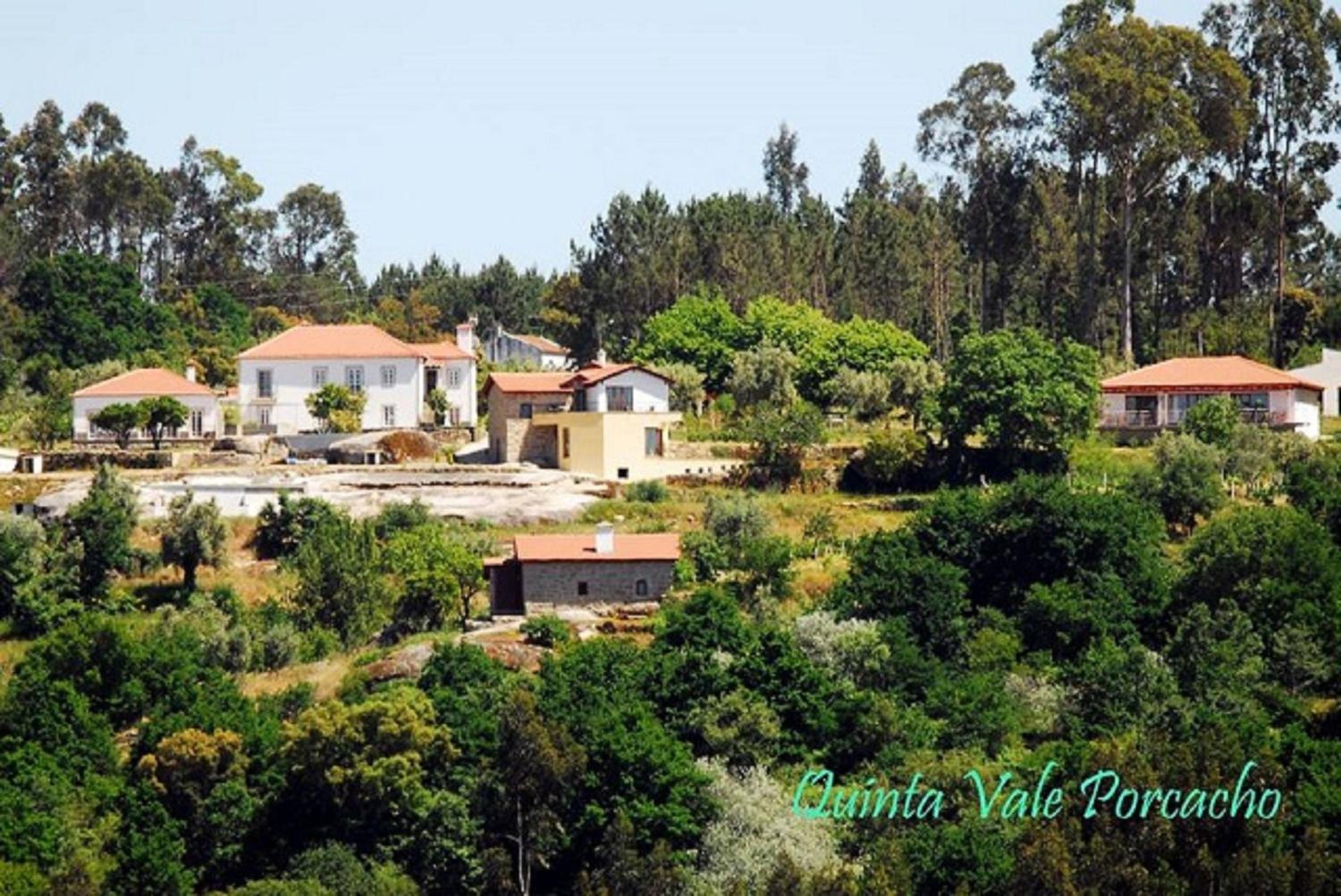 Quinta Vale Porcacho, Photo 22
