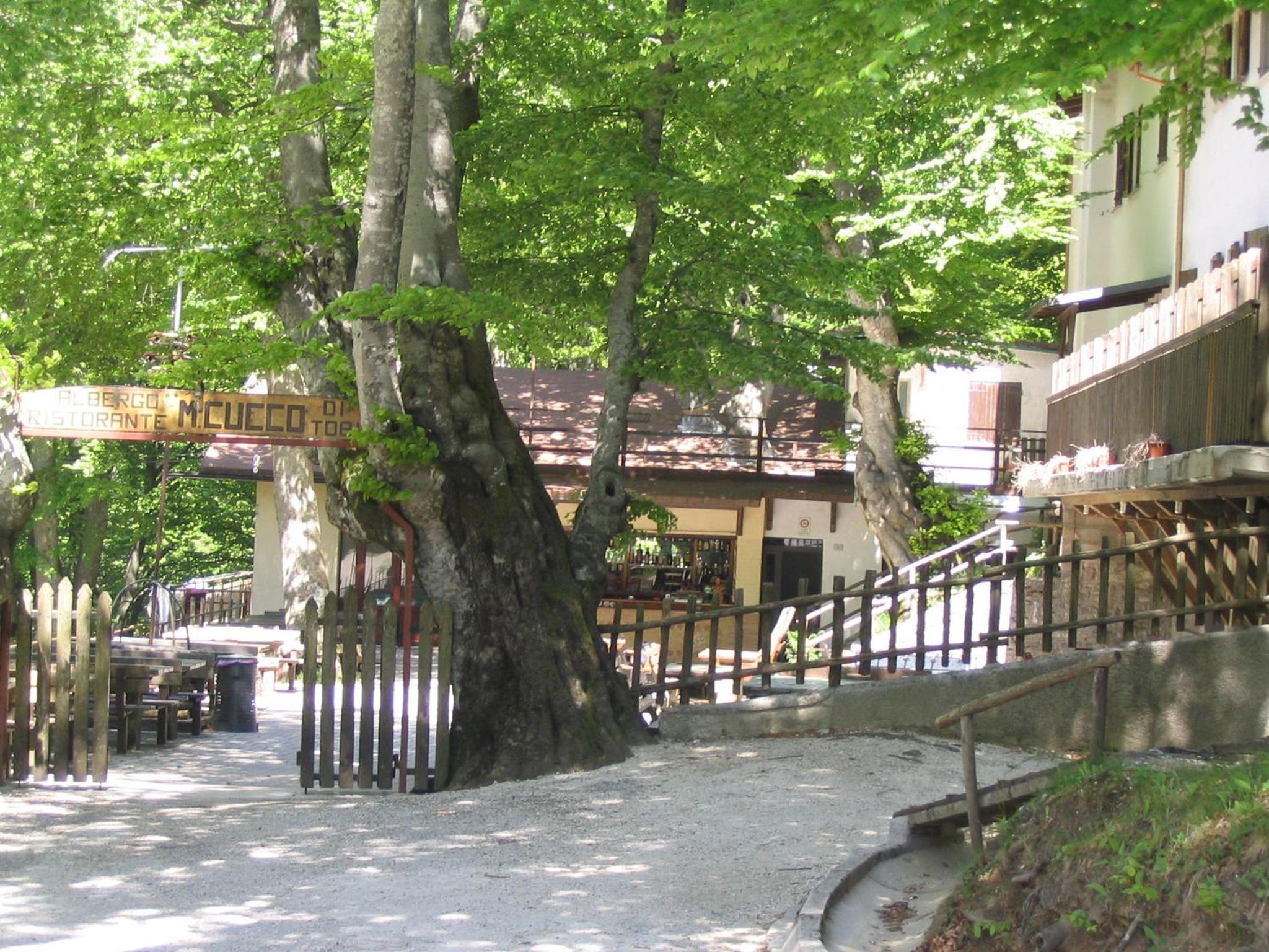Albergo Ristorante Montecucco da Tobia photo 3