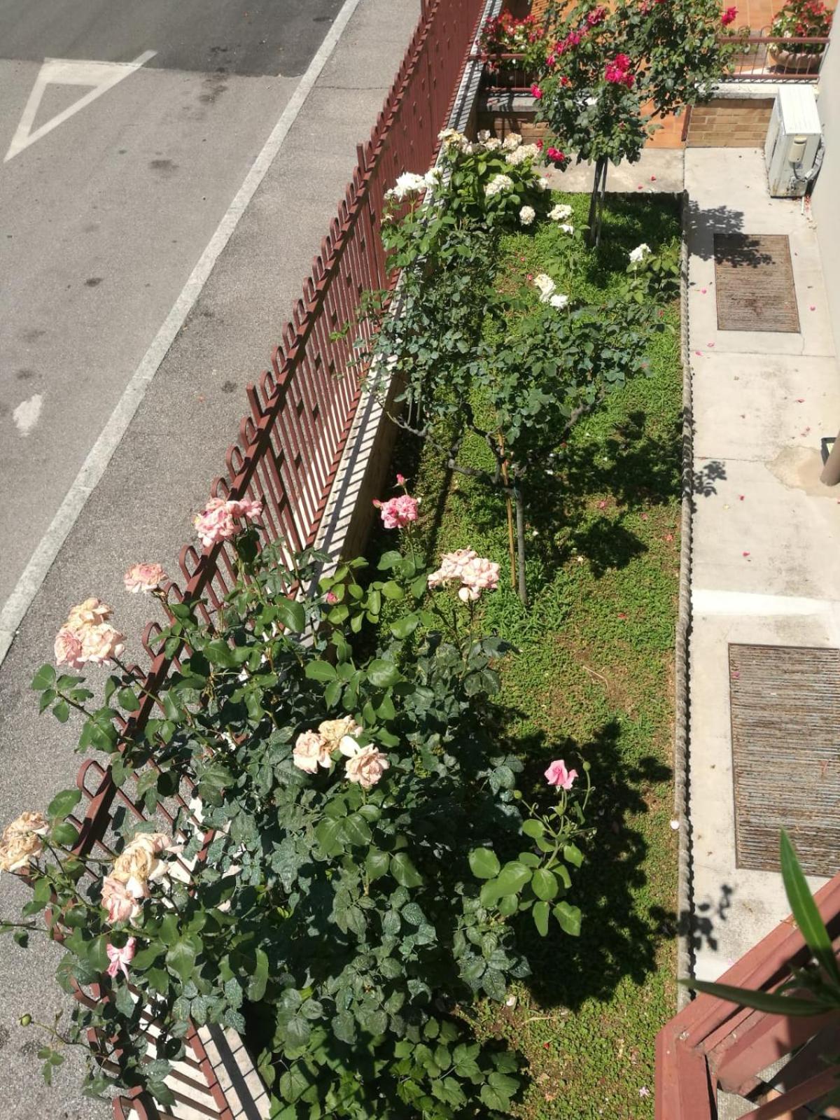 Photo 42