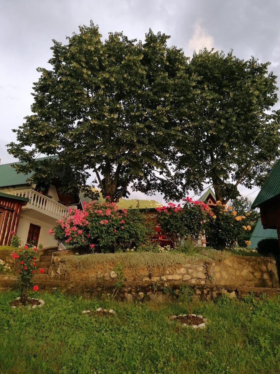 B&B Konak