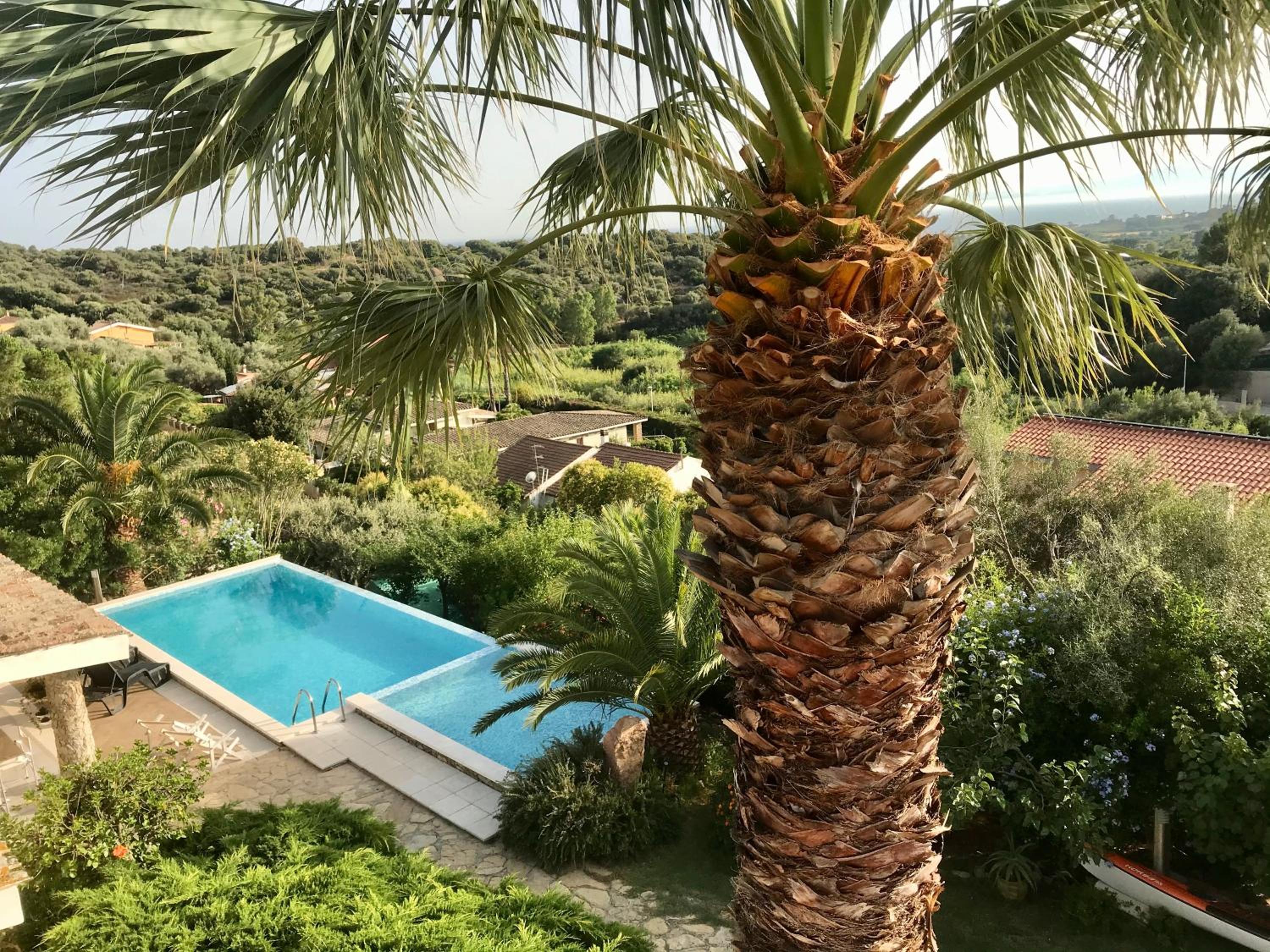 Le Orchidee Sardegna photo 4