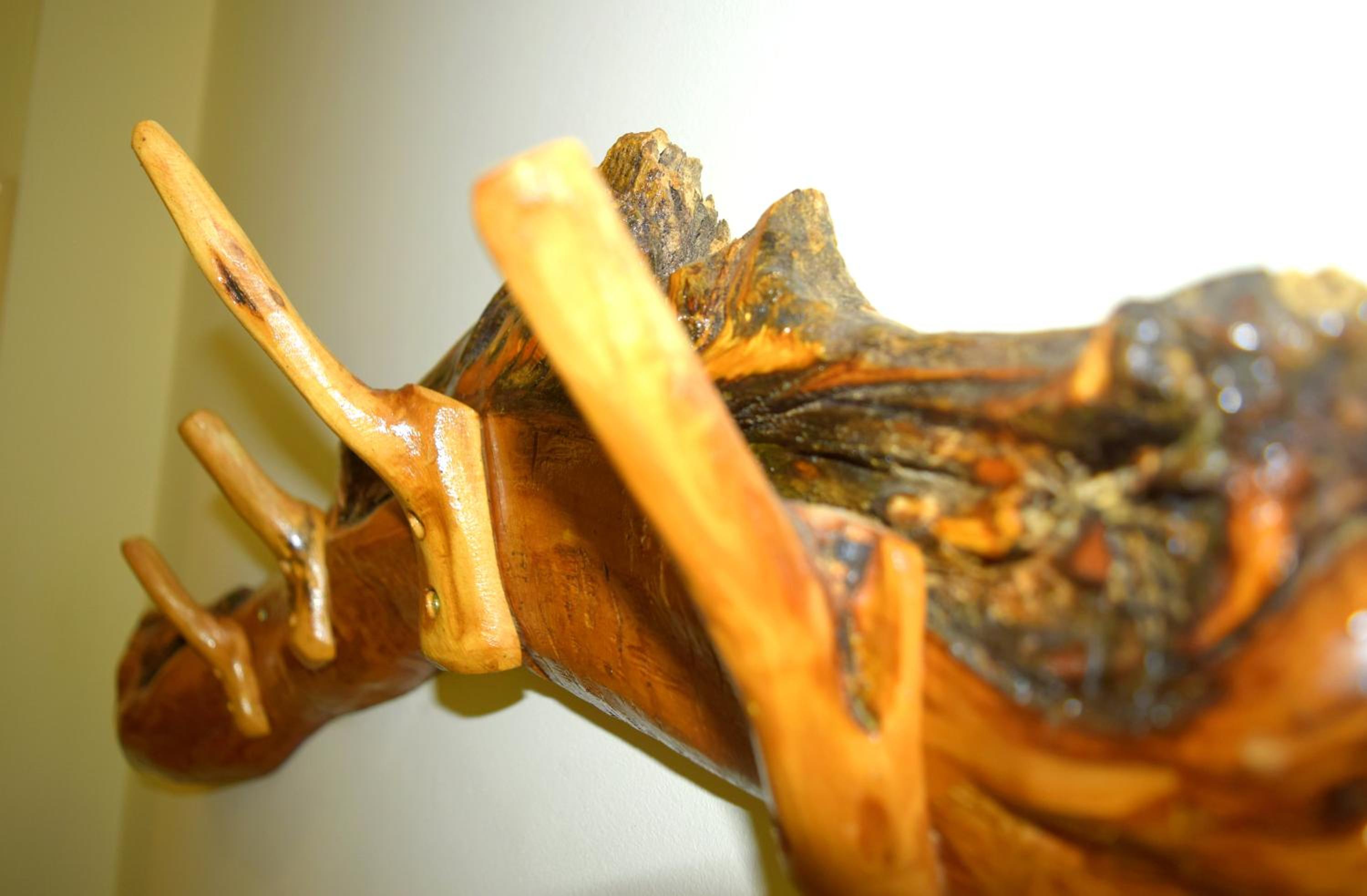 Photo 44
