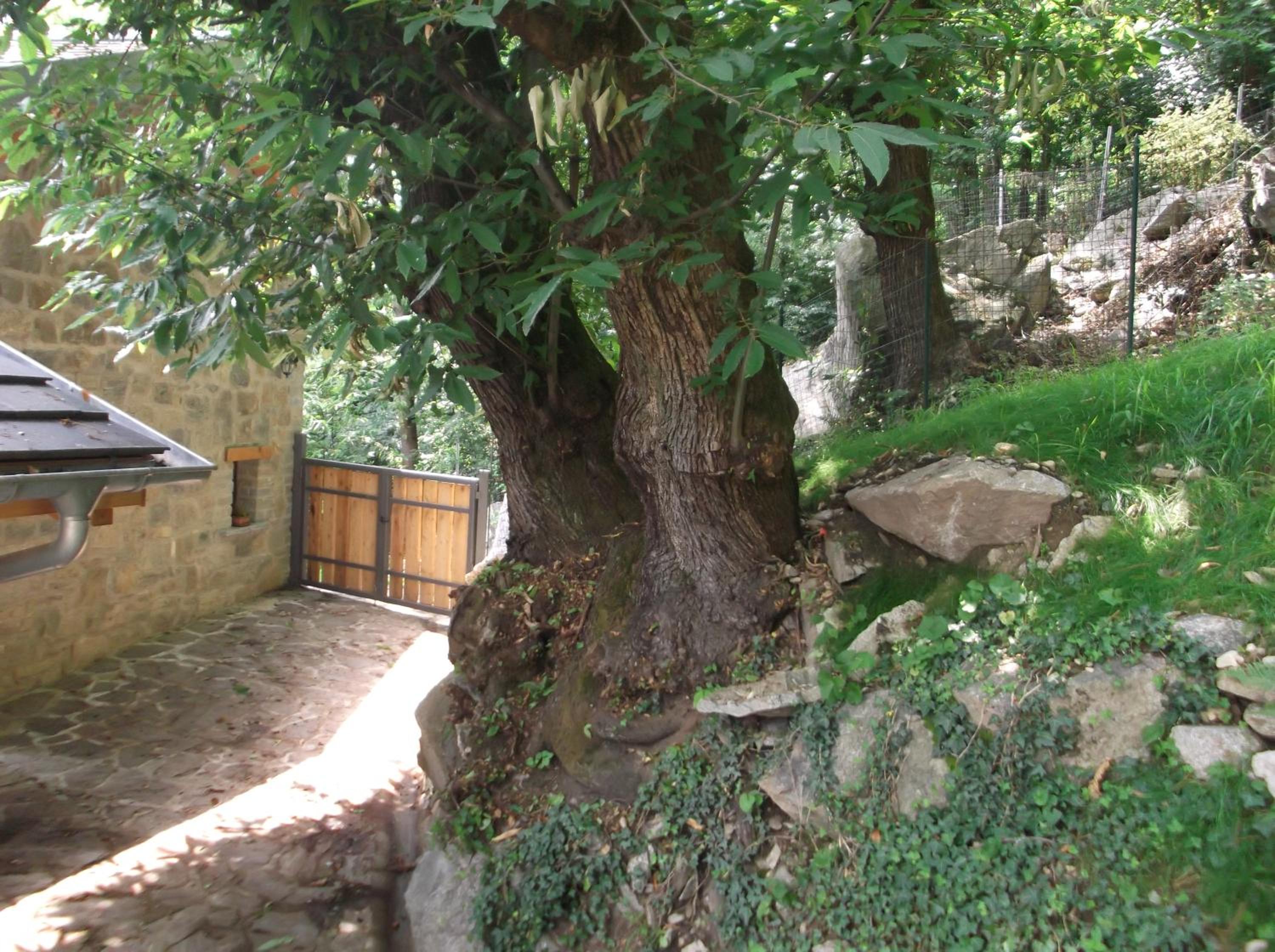 Agriturismo Ai Ronchi view 5