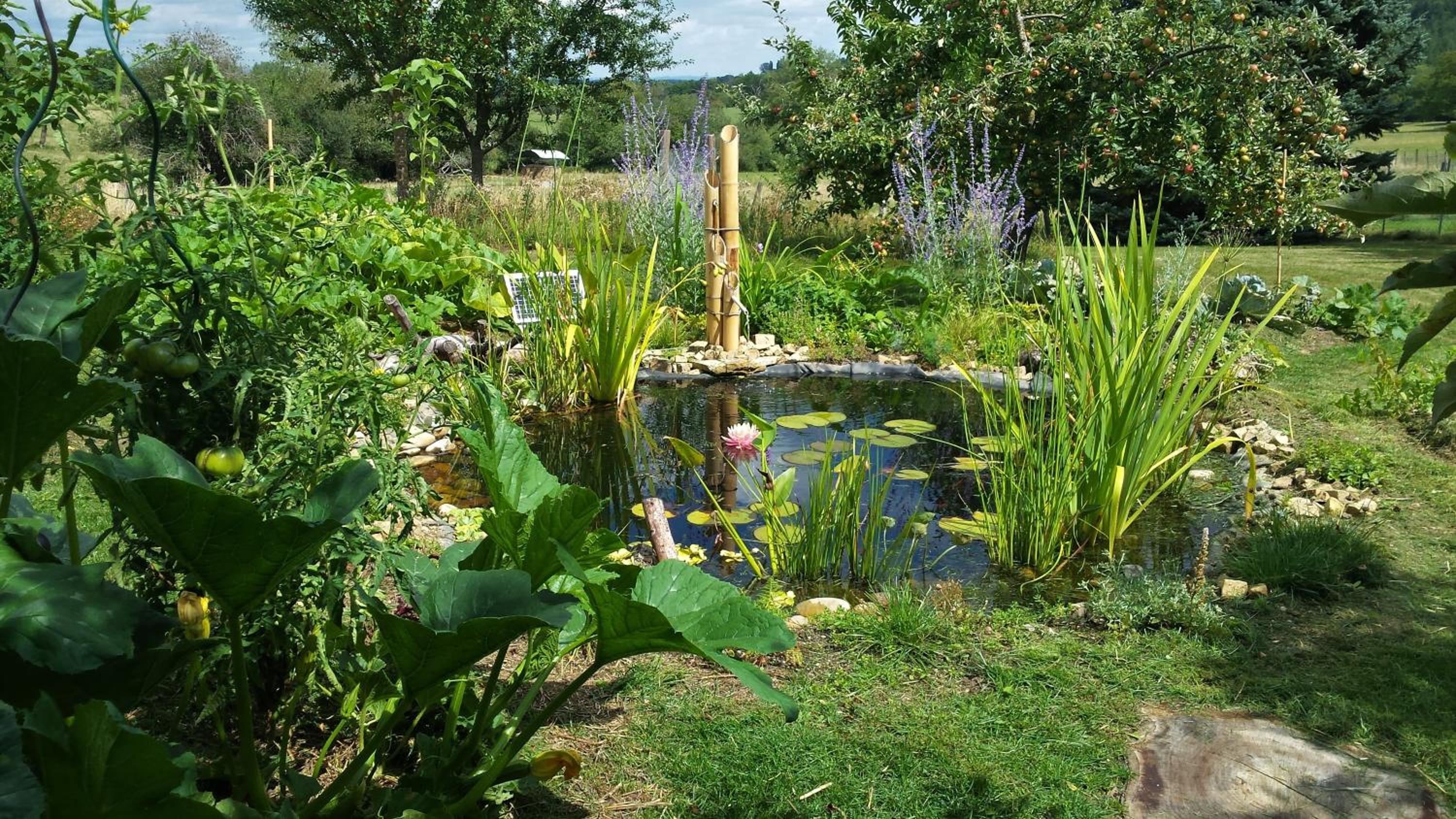 Photo 12
