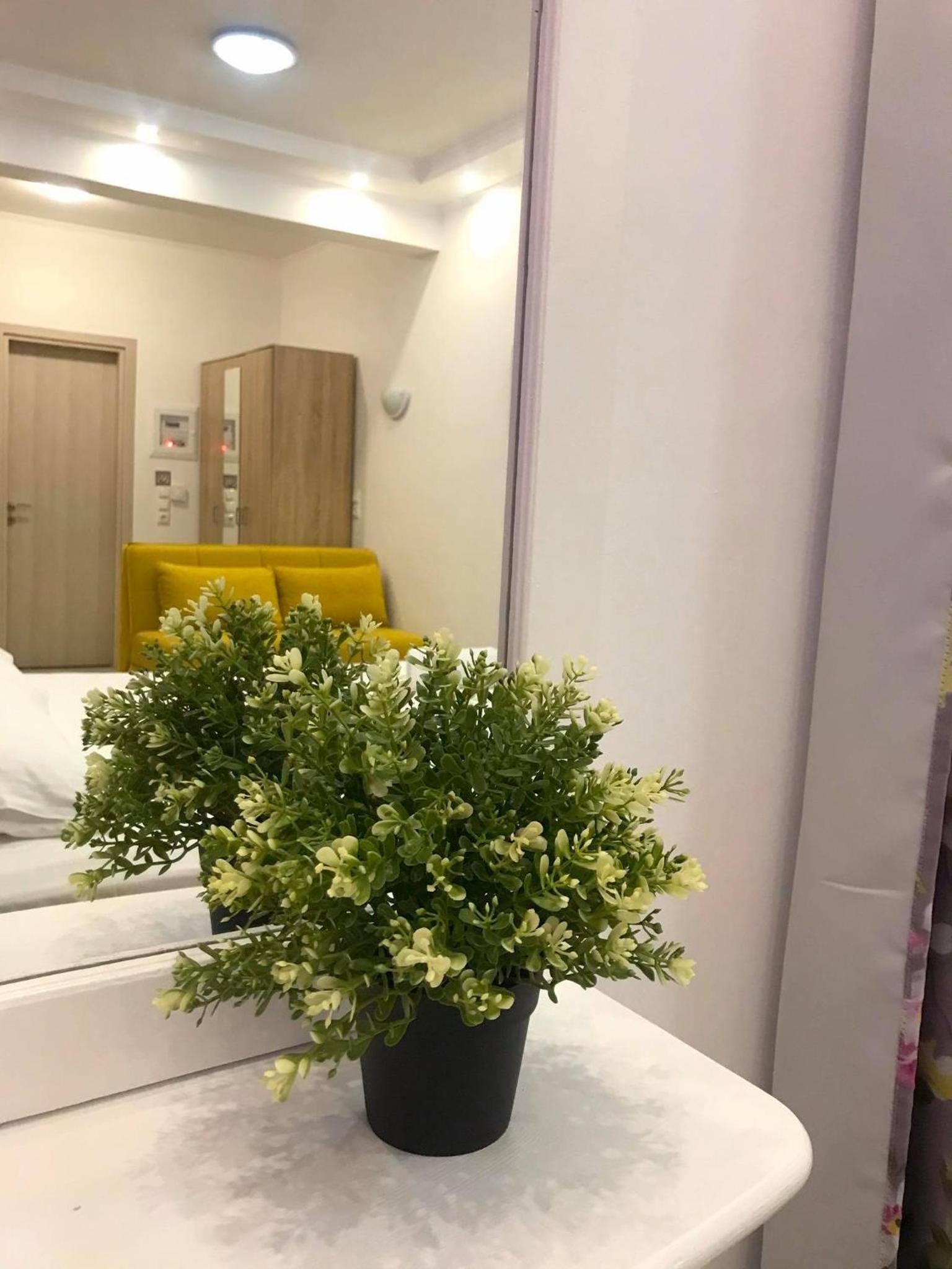 Valeriana Studios photo 5