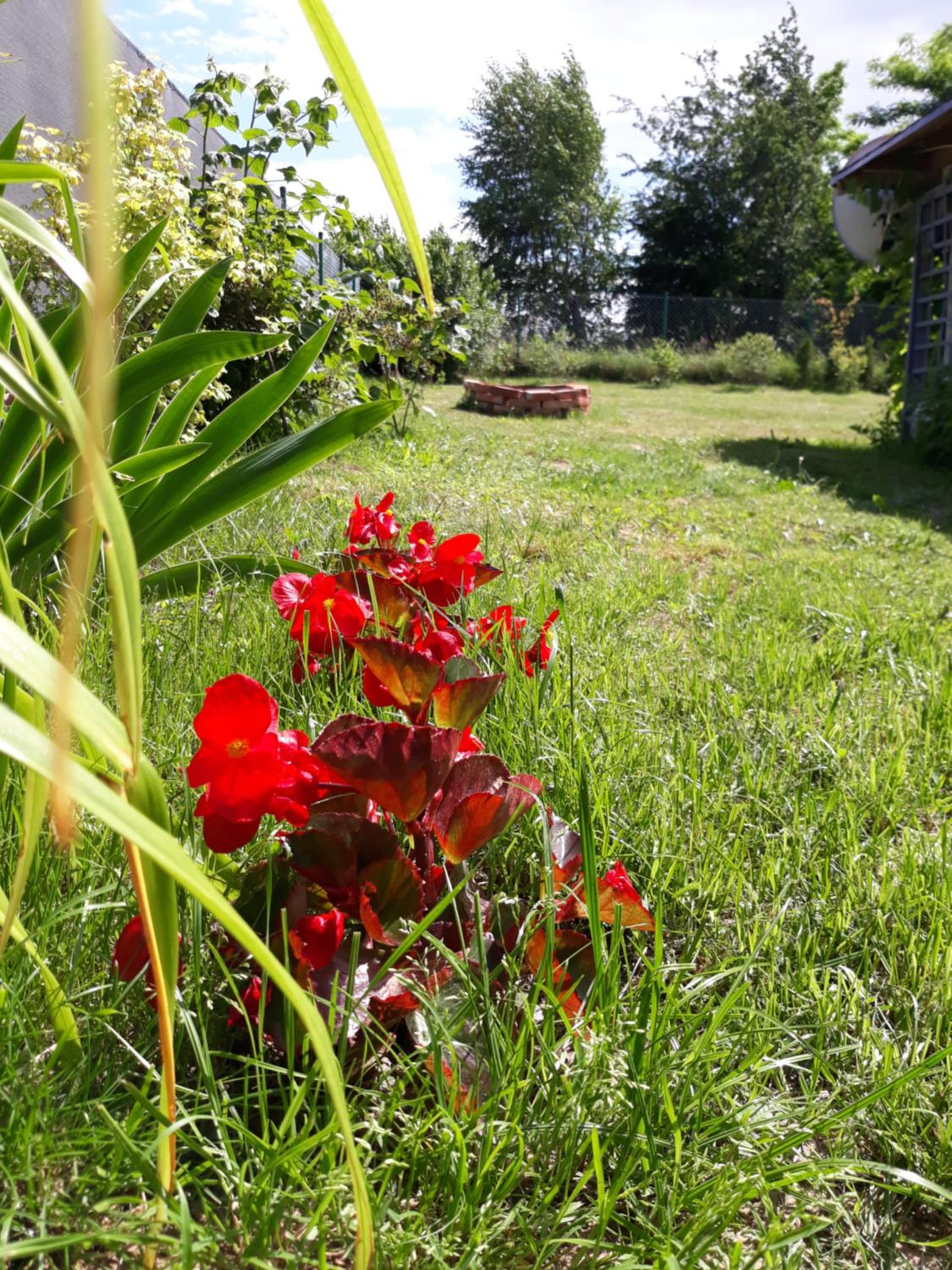 Photo 41