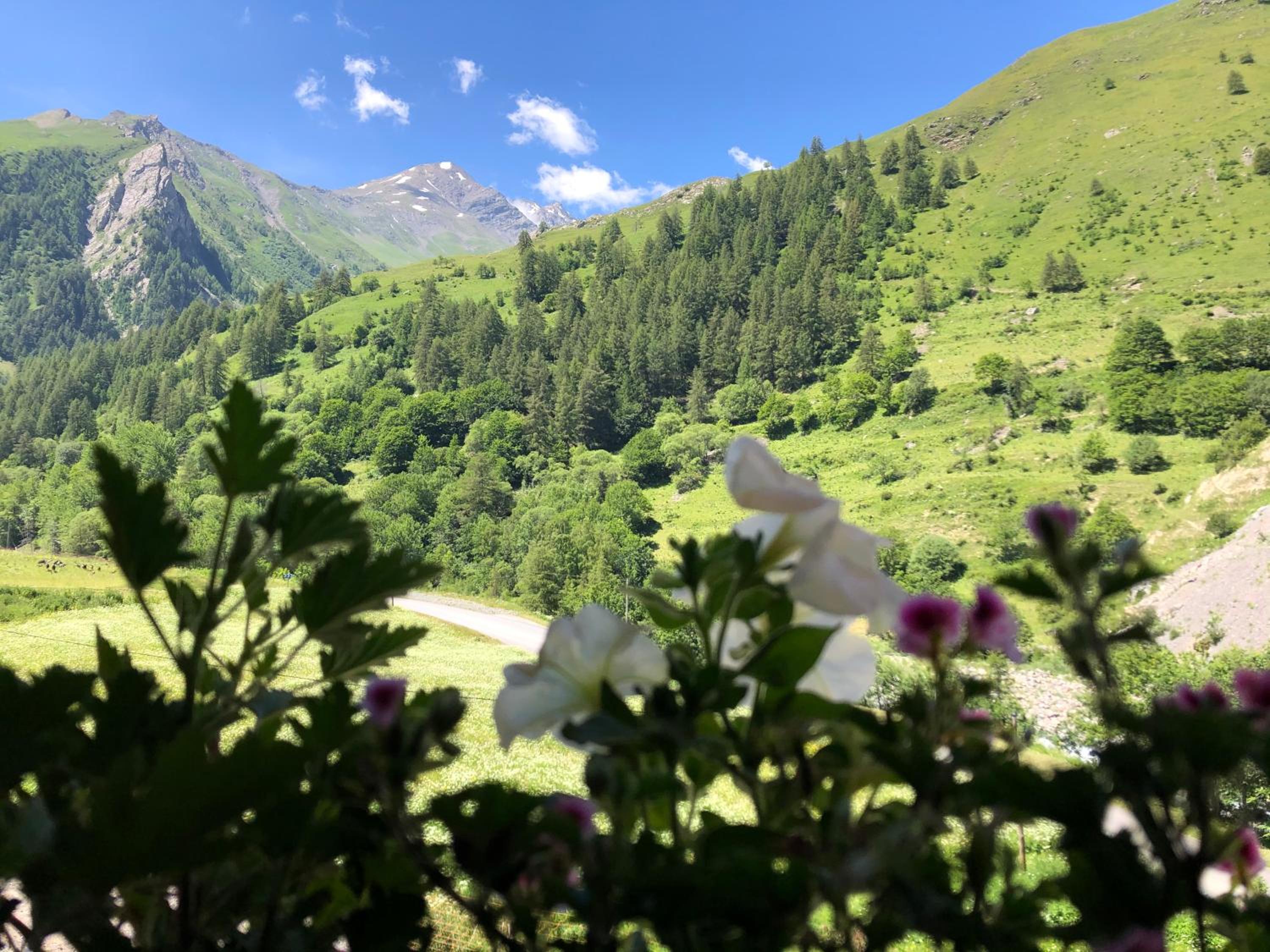 La Ferme des Étroits view 3
