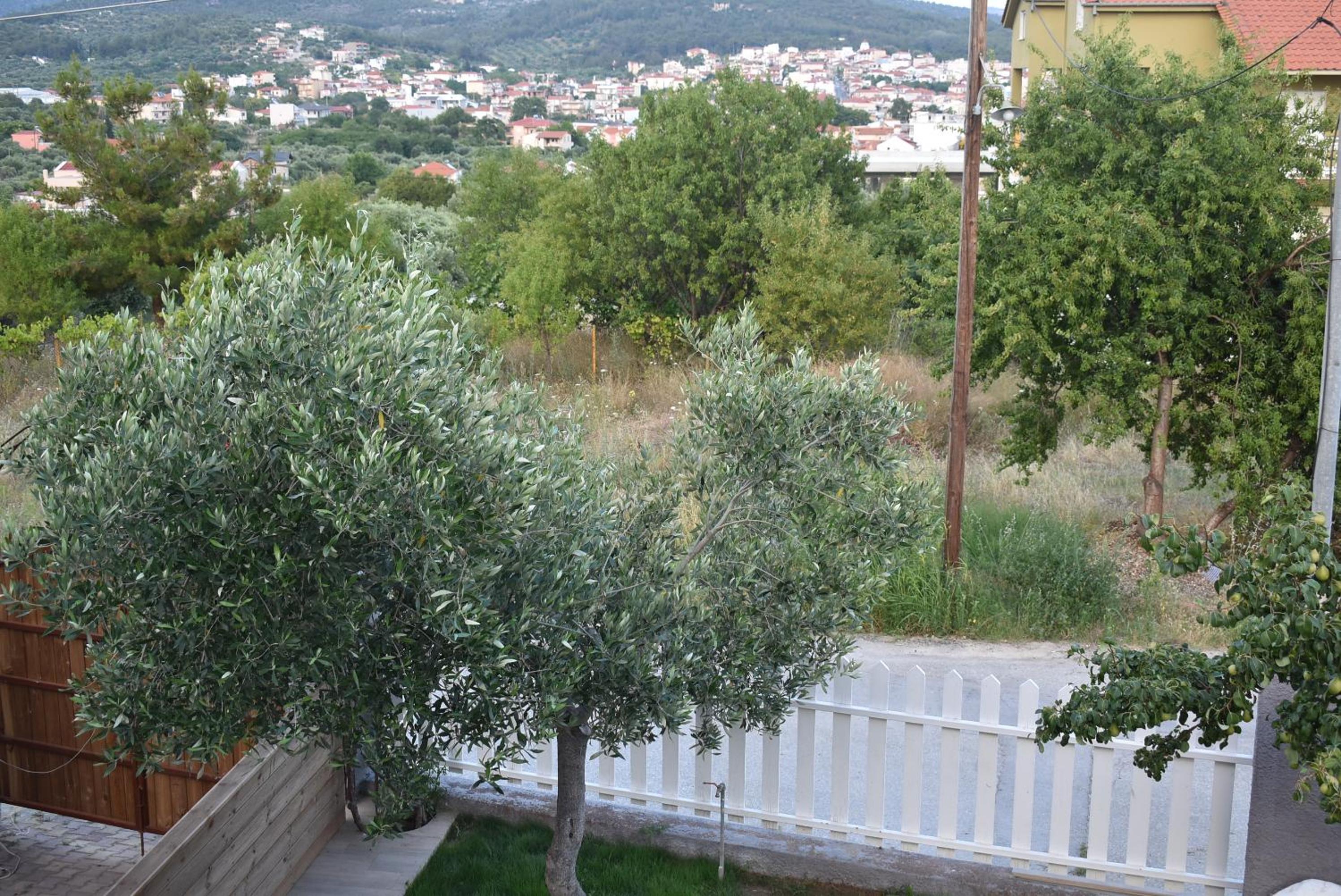 Photo 27