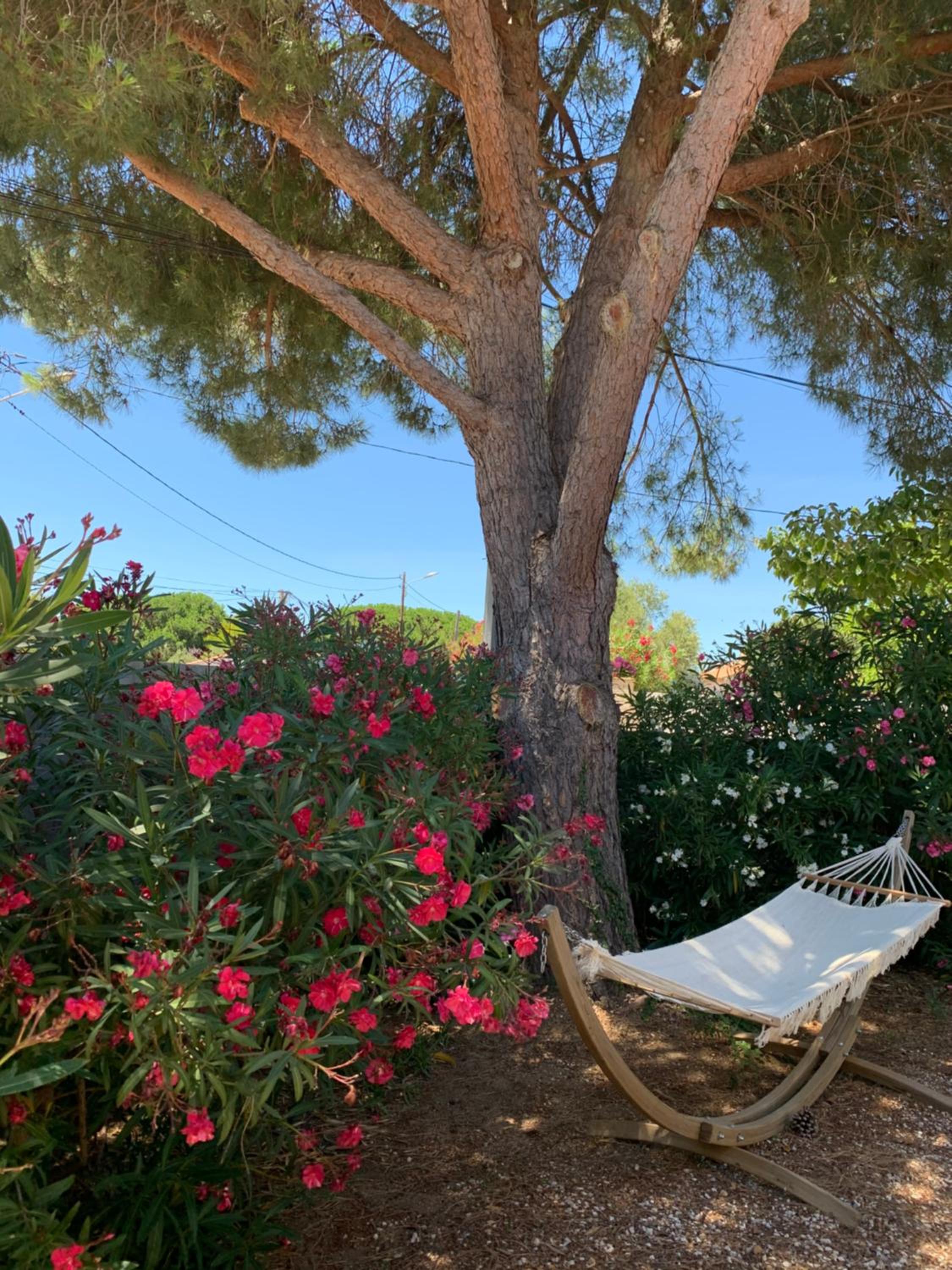 Gîte Les Lauriers Roses