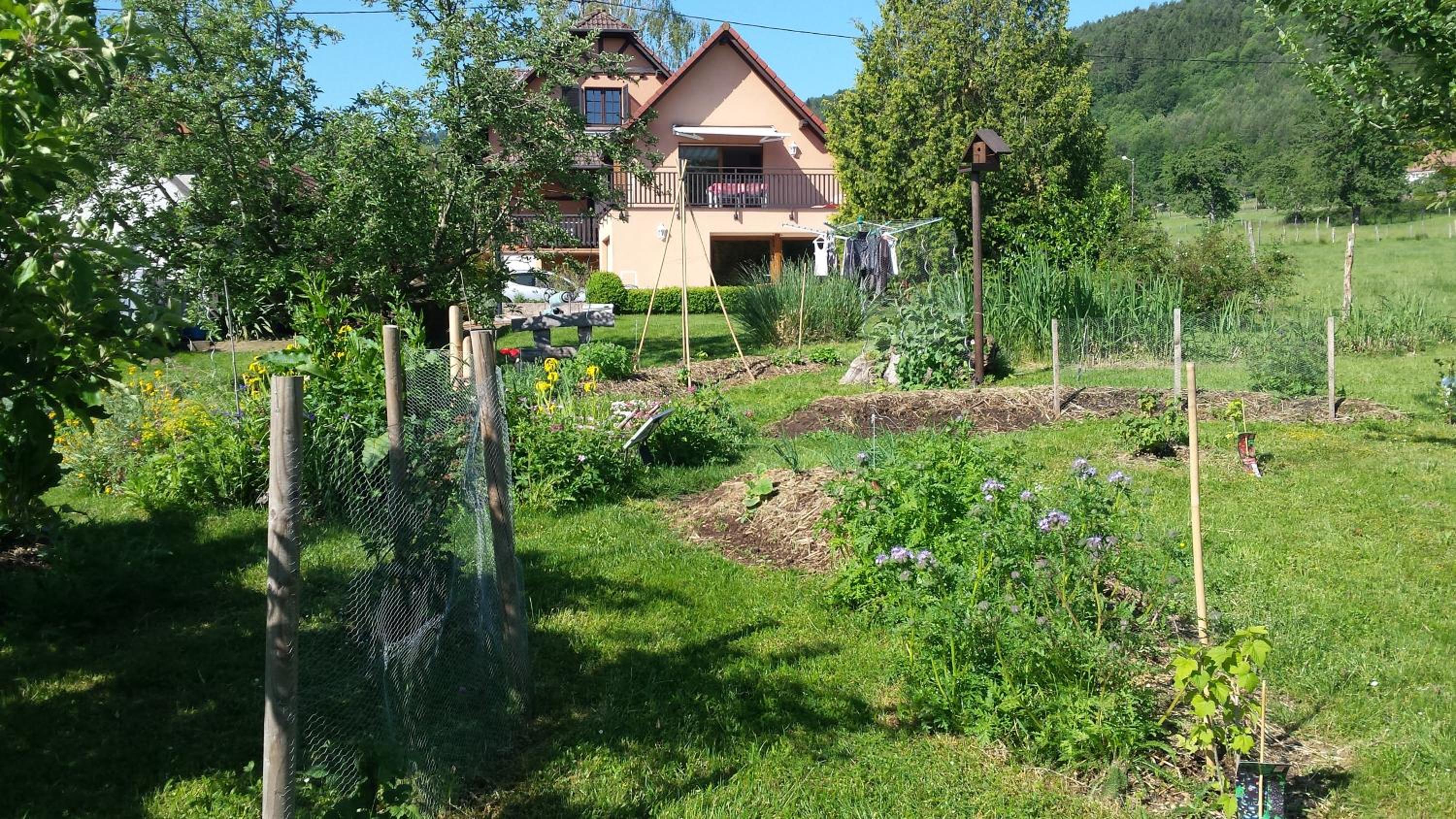Photo 11