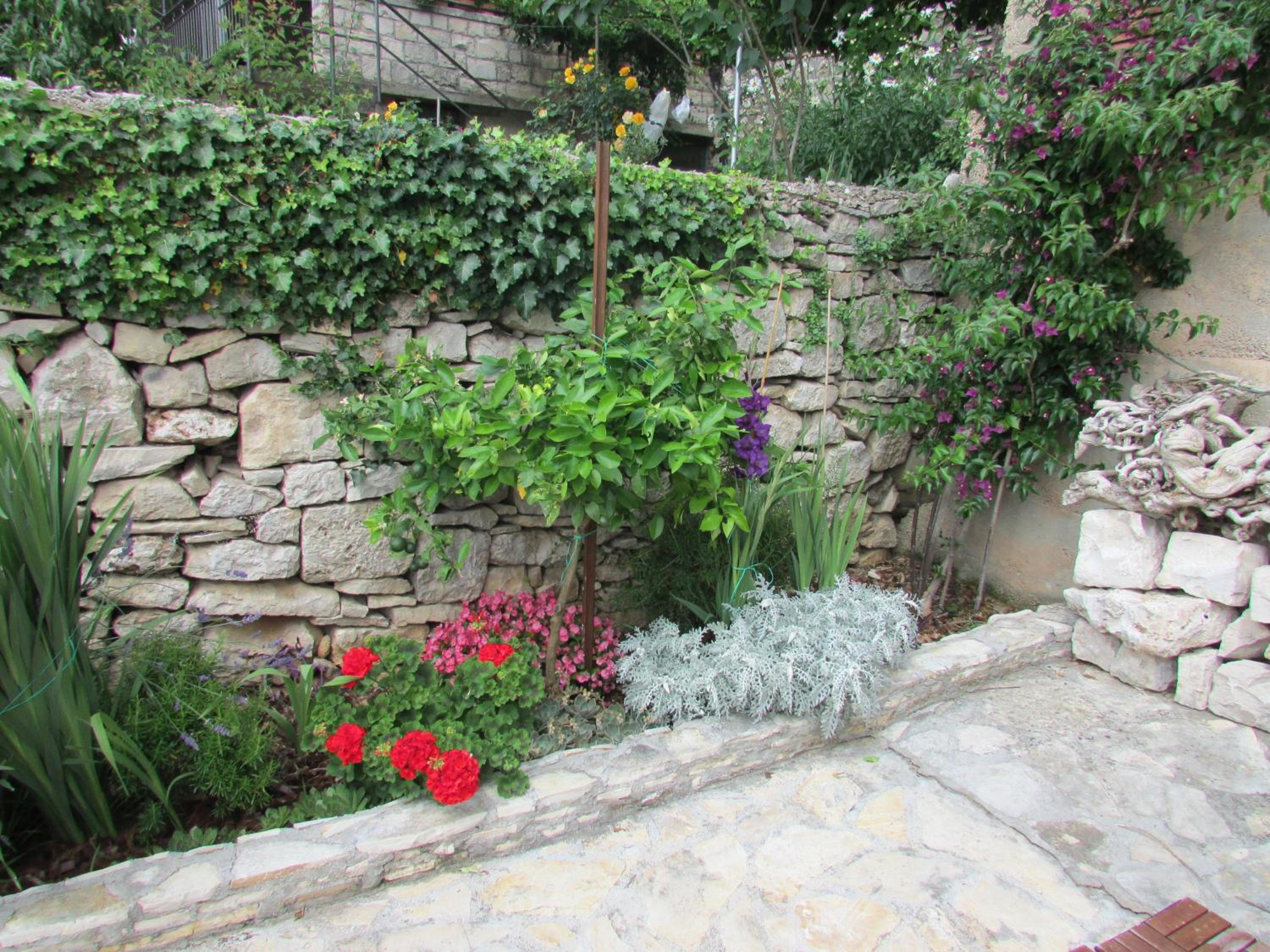 Photo 18