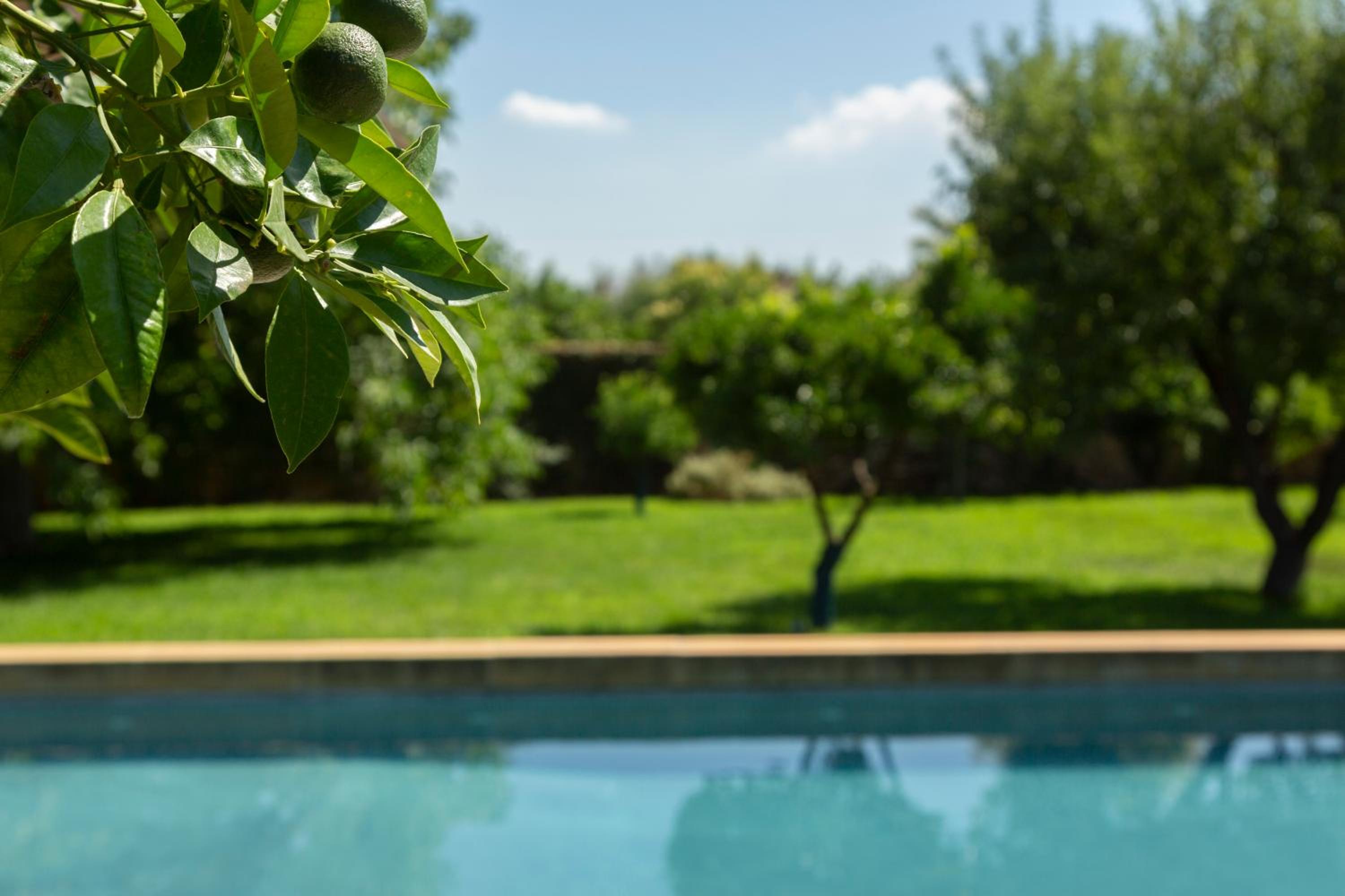 Masseria Borgo Mortella view 2