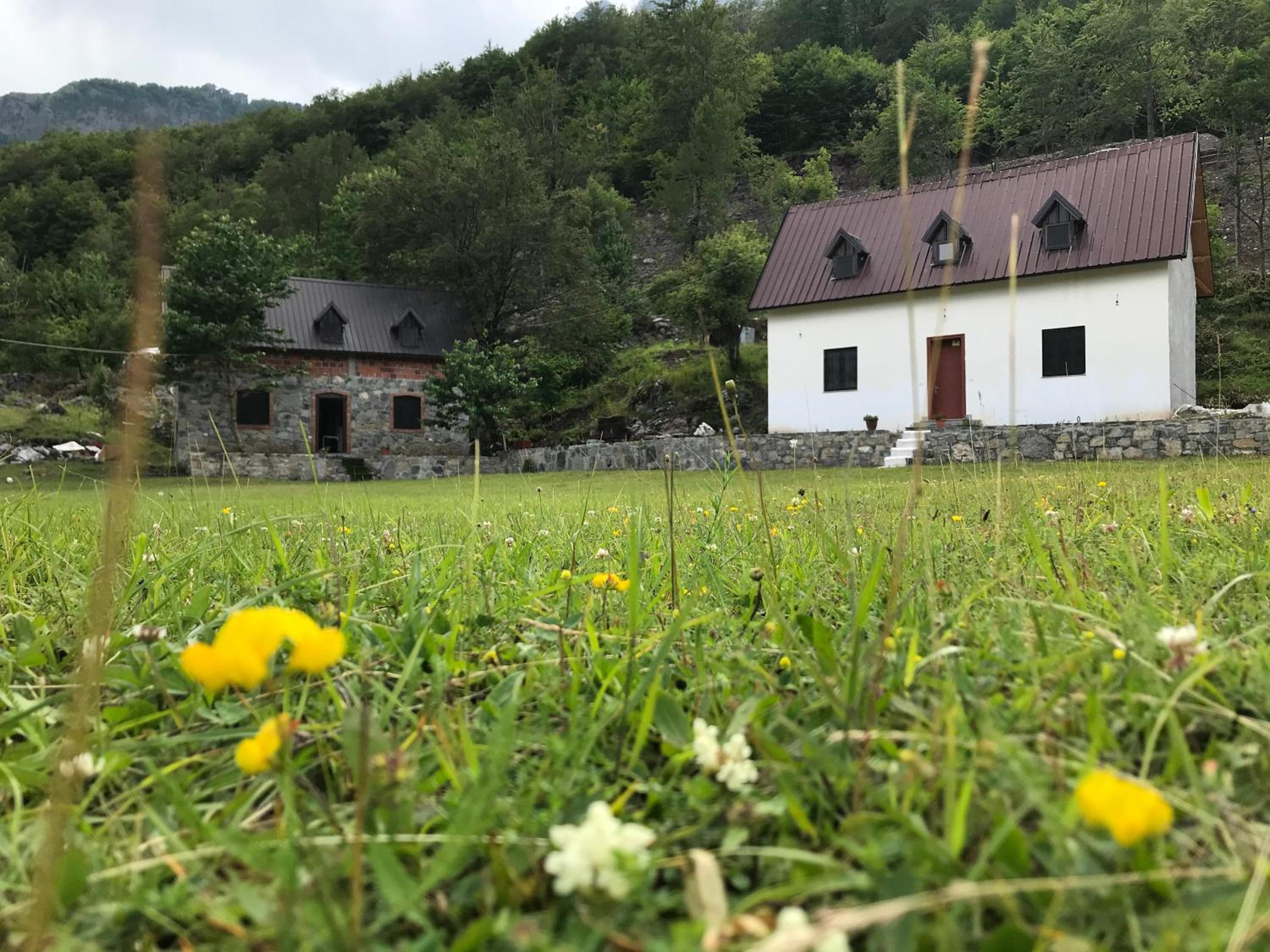 Guesthouse Freskia