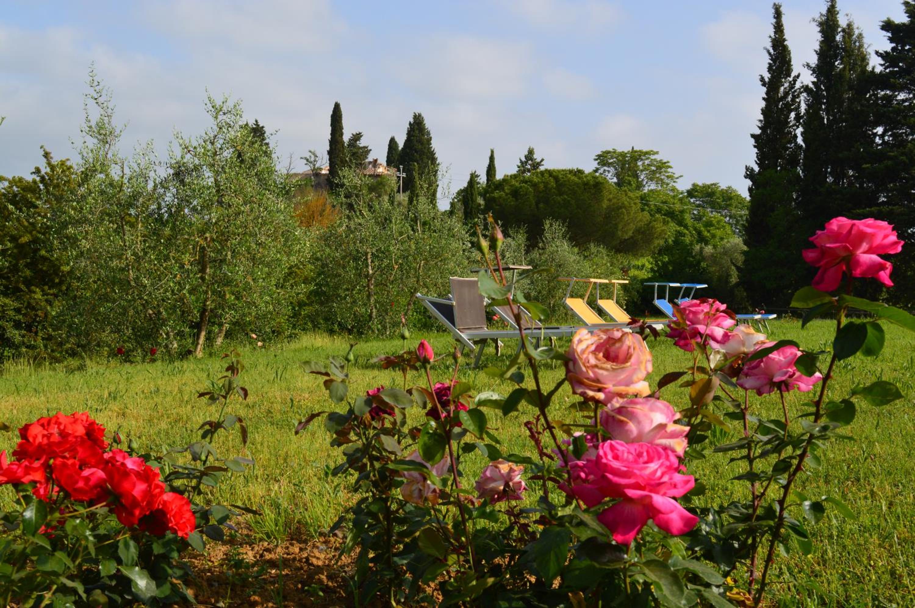 Agriturismo La Fidanza photo 5