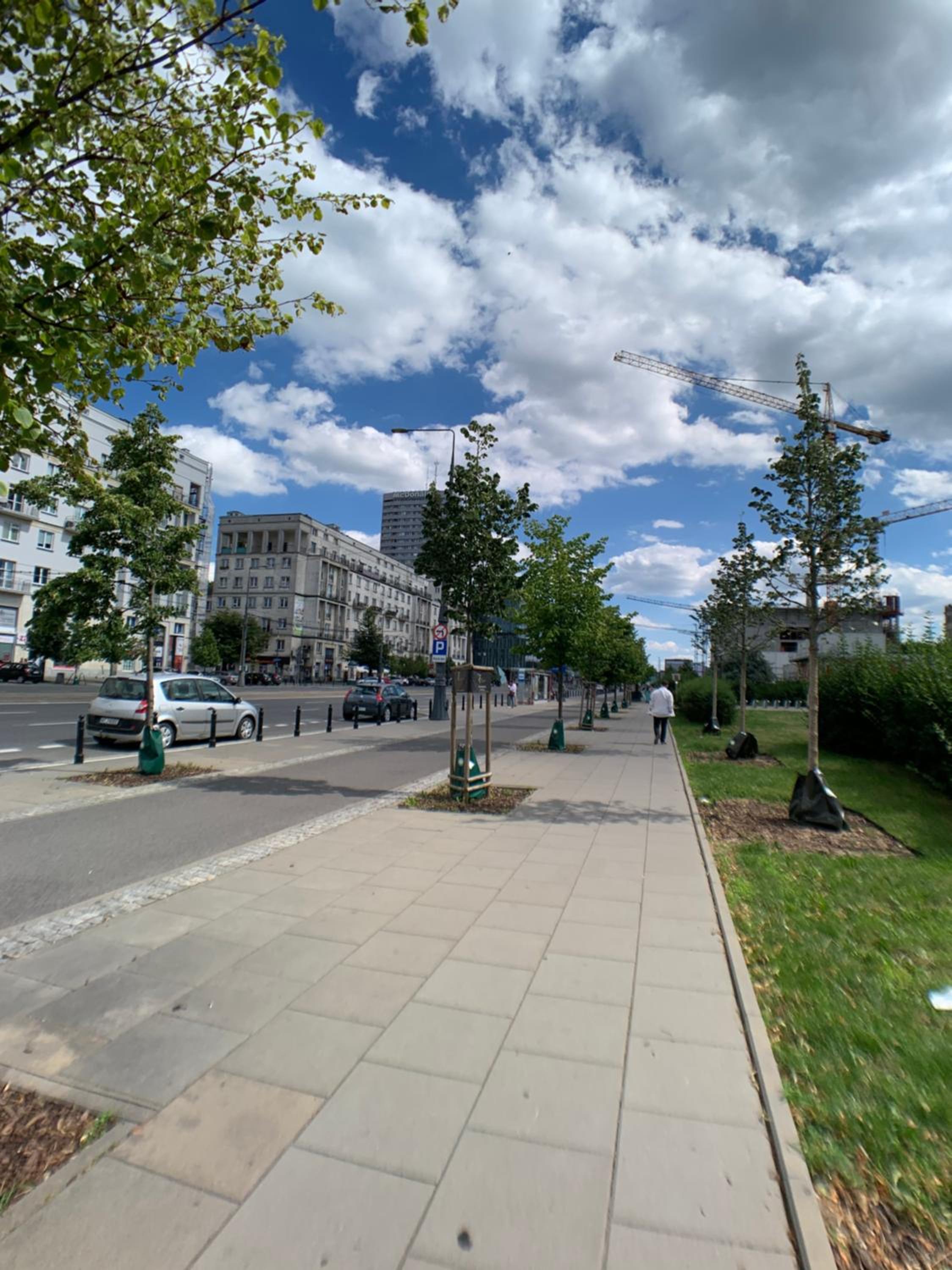Zielna city center