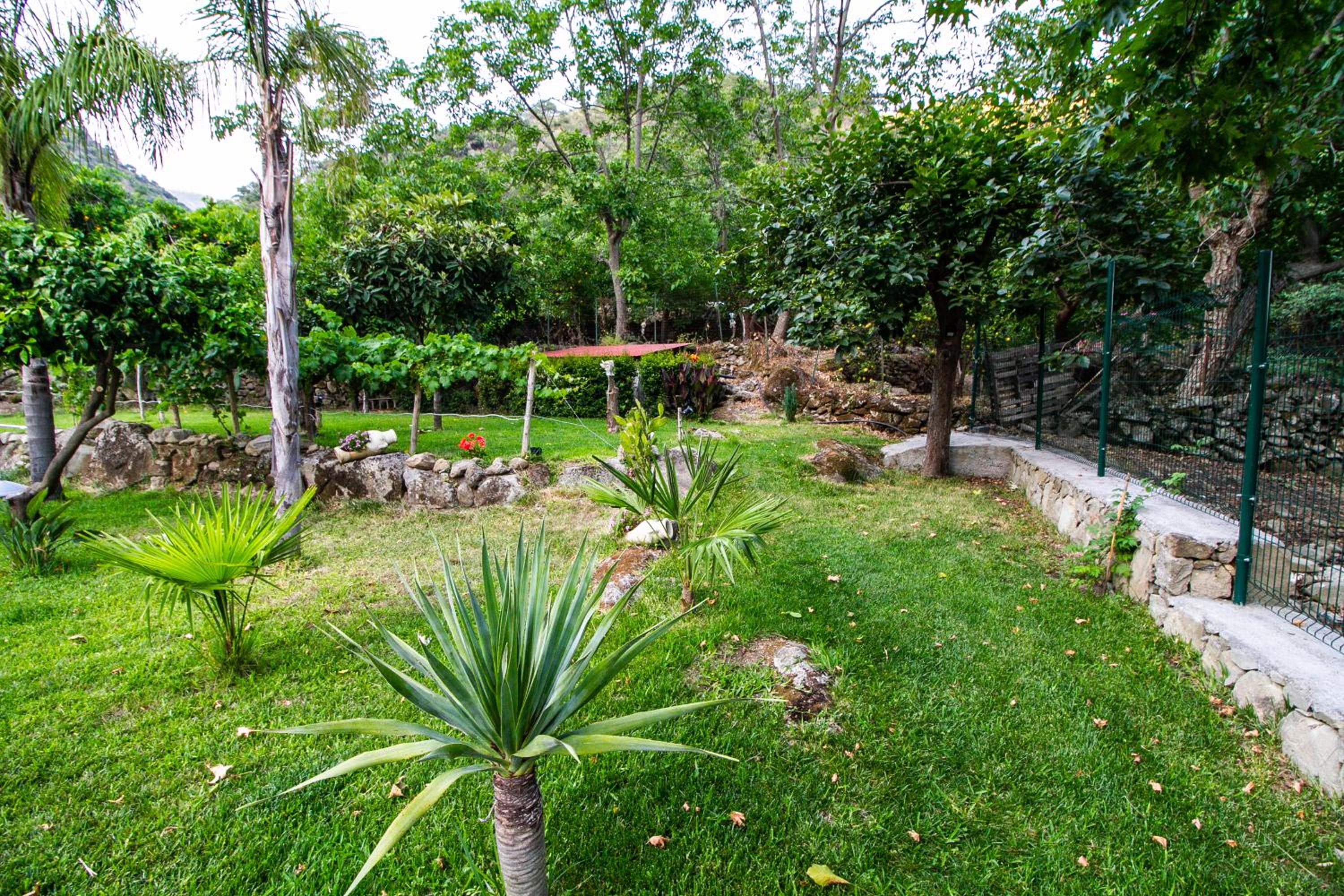 Le Muse Country House - Gole Alcantara view 4