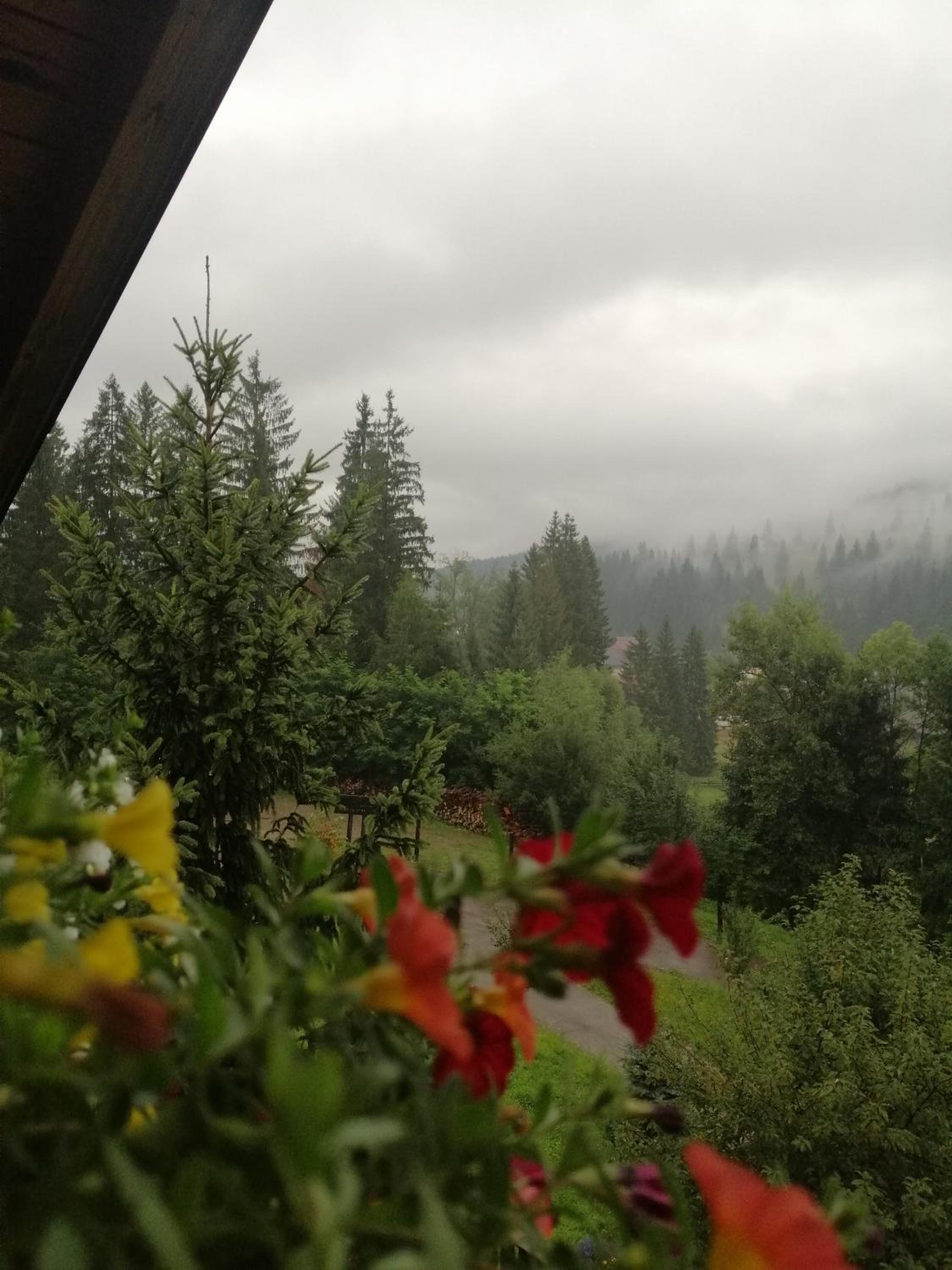 Casa Verde view 3