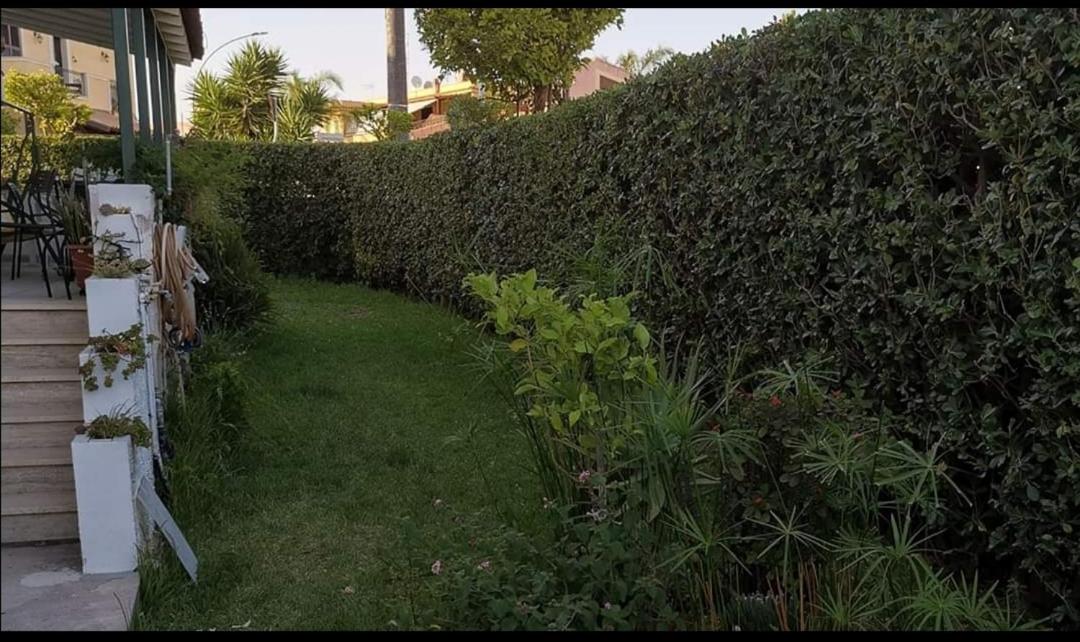 Photo 49
