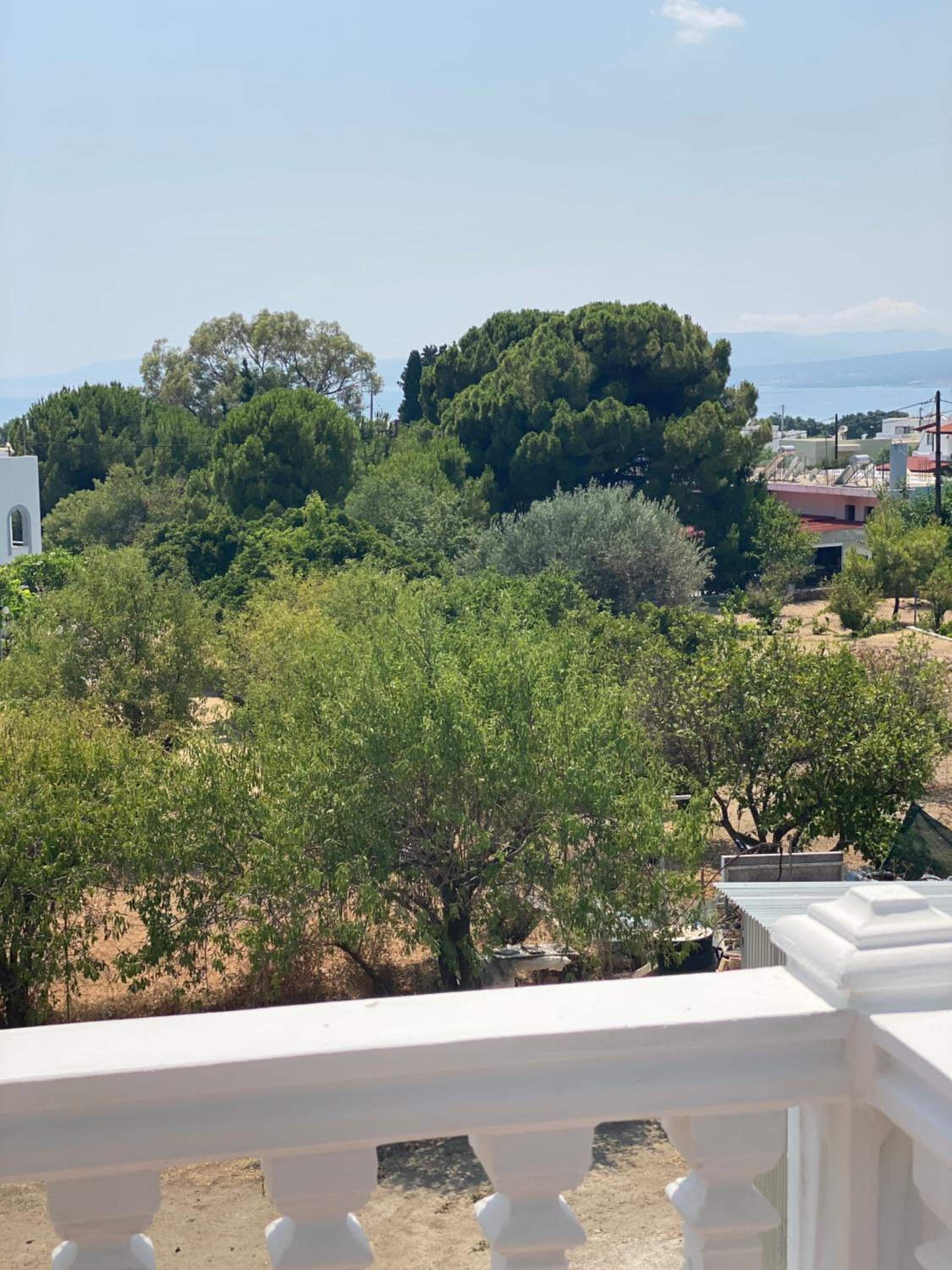 Hotel Peacock Studios - Image 1