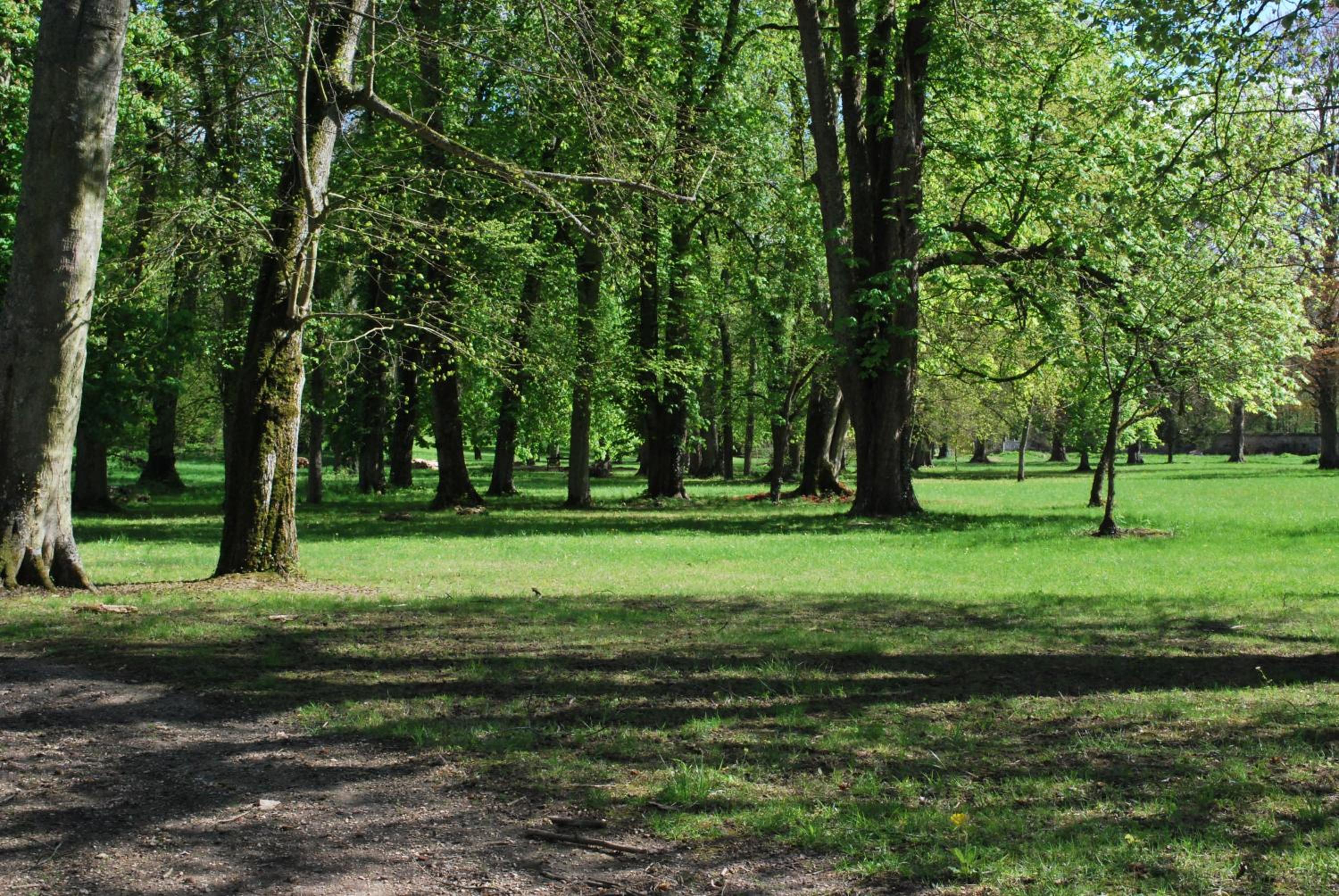 Domaine de Vauluisant