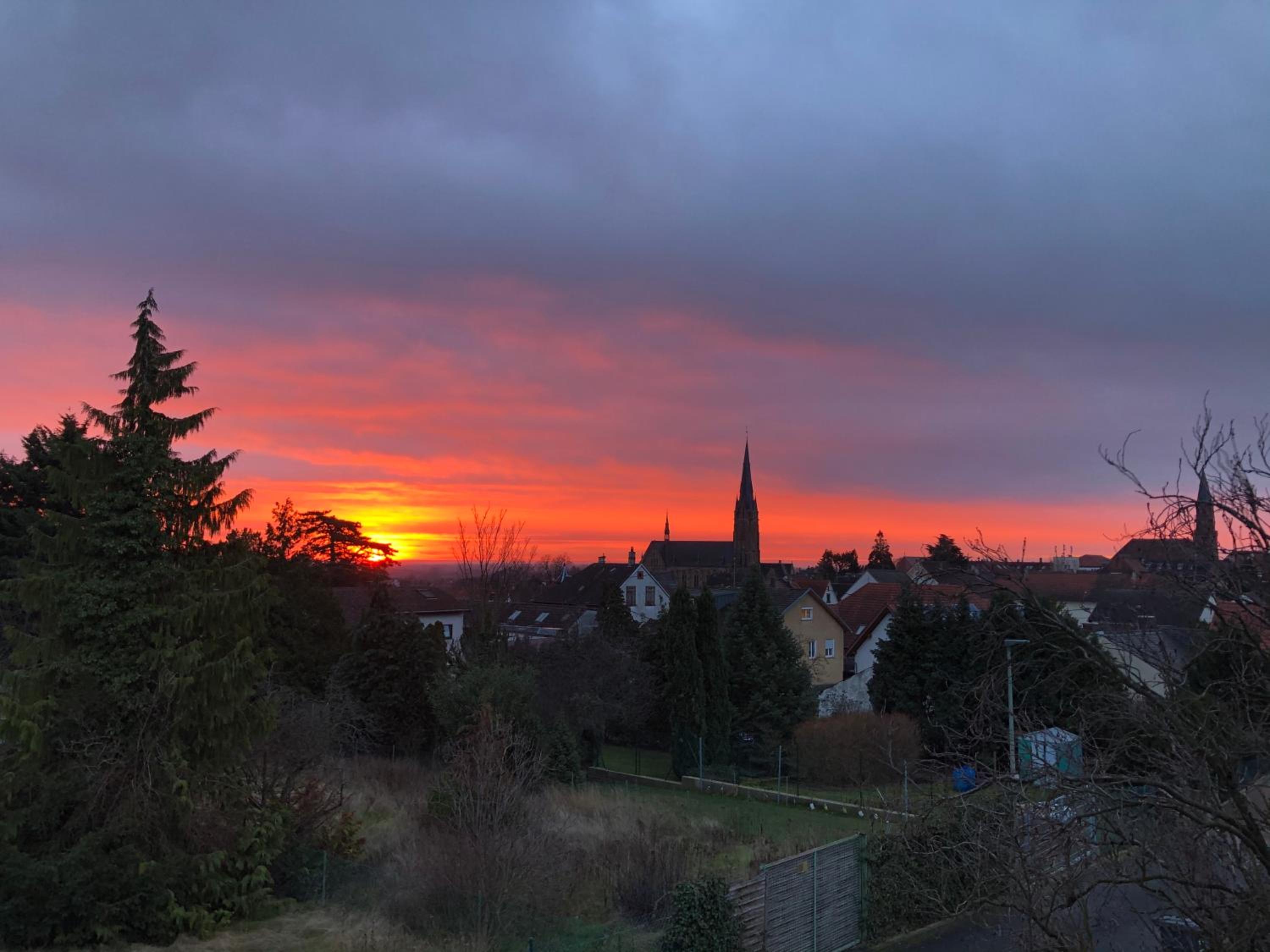 Nickel Haus view 4
