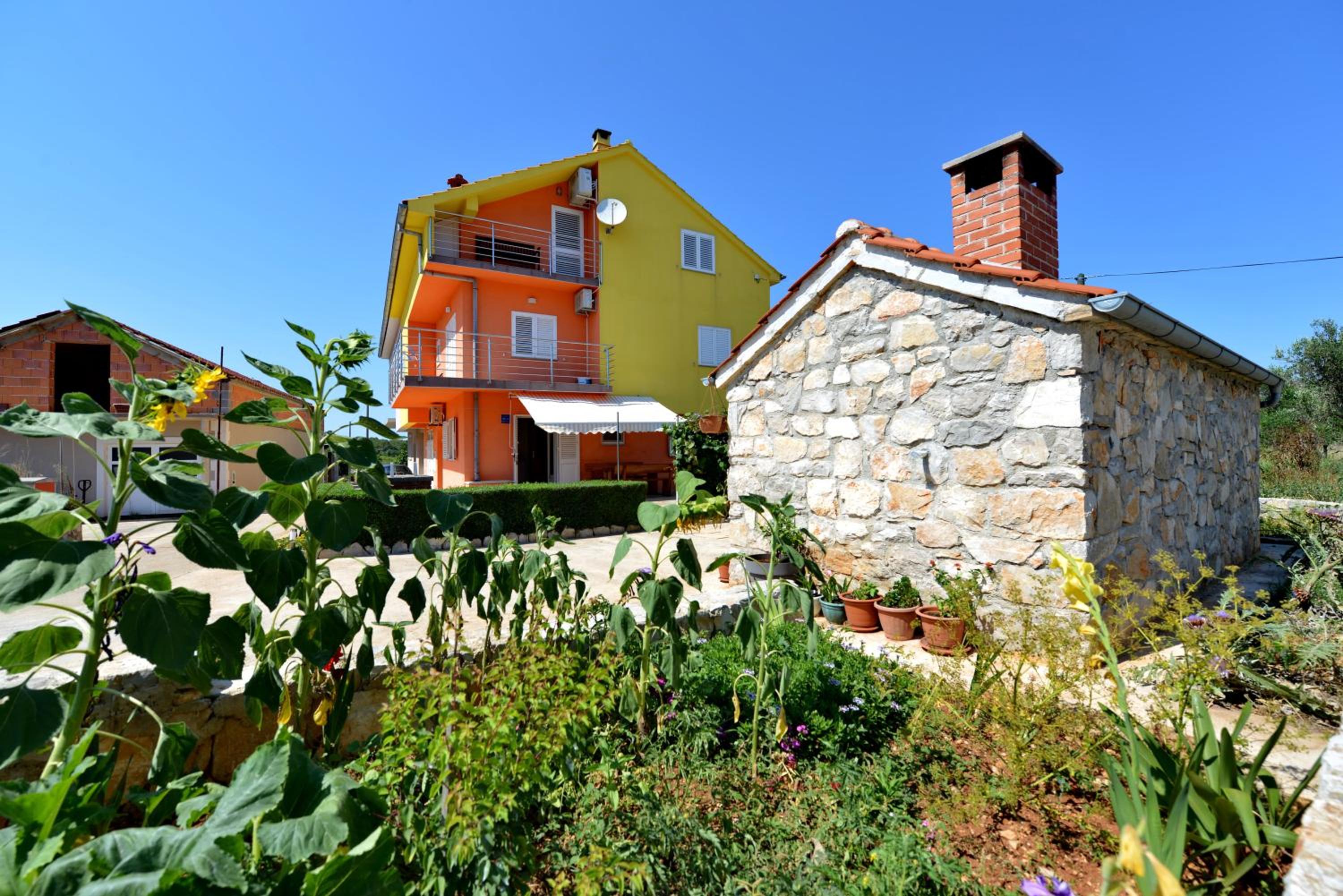 Photo 41