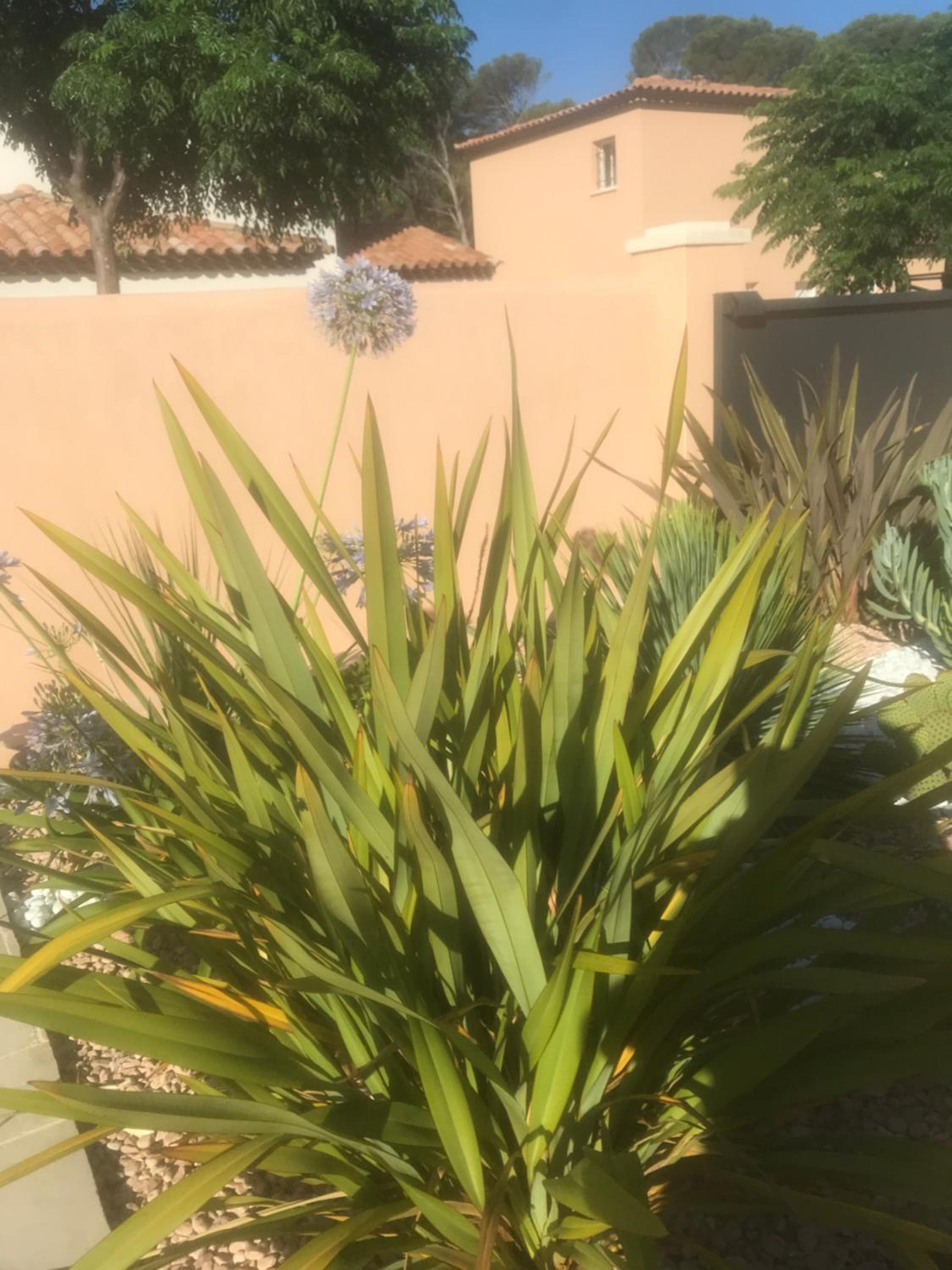 Photo 22