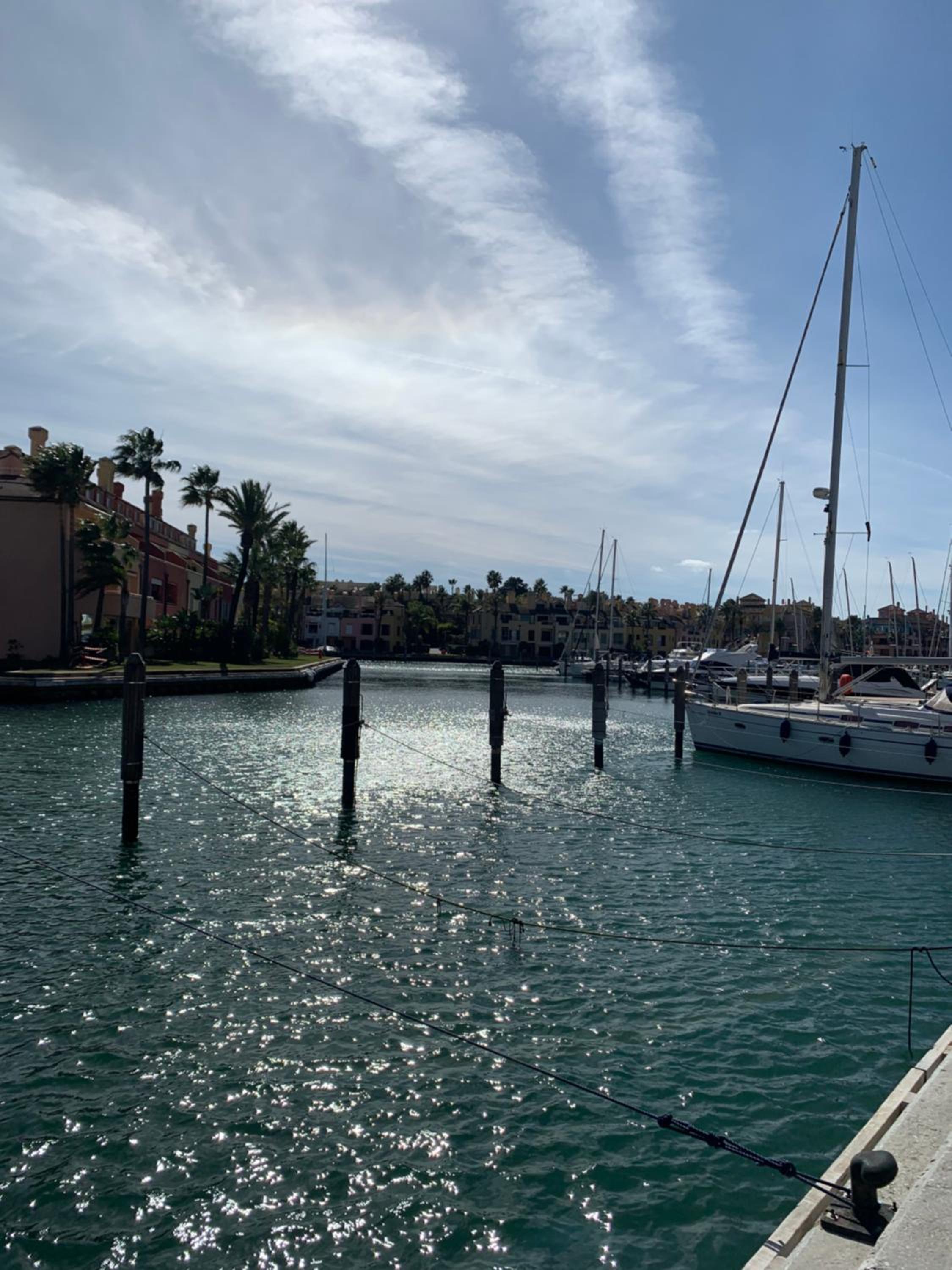 La Marina, Sotogrande photo 3