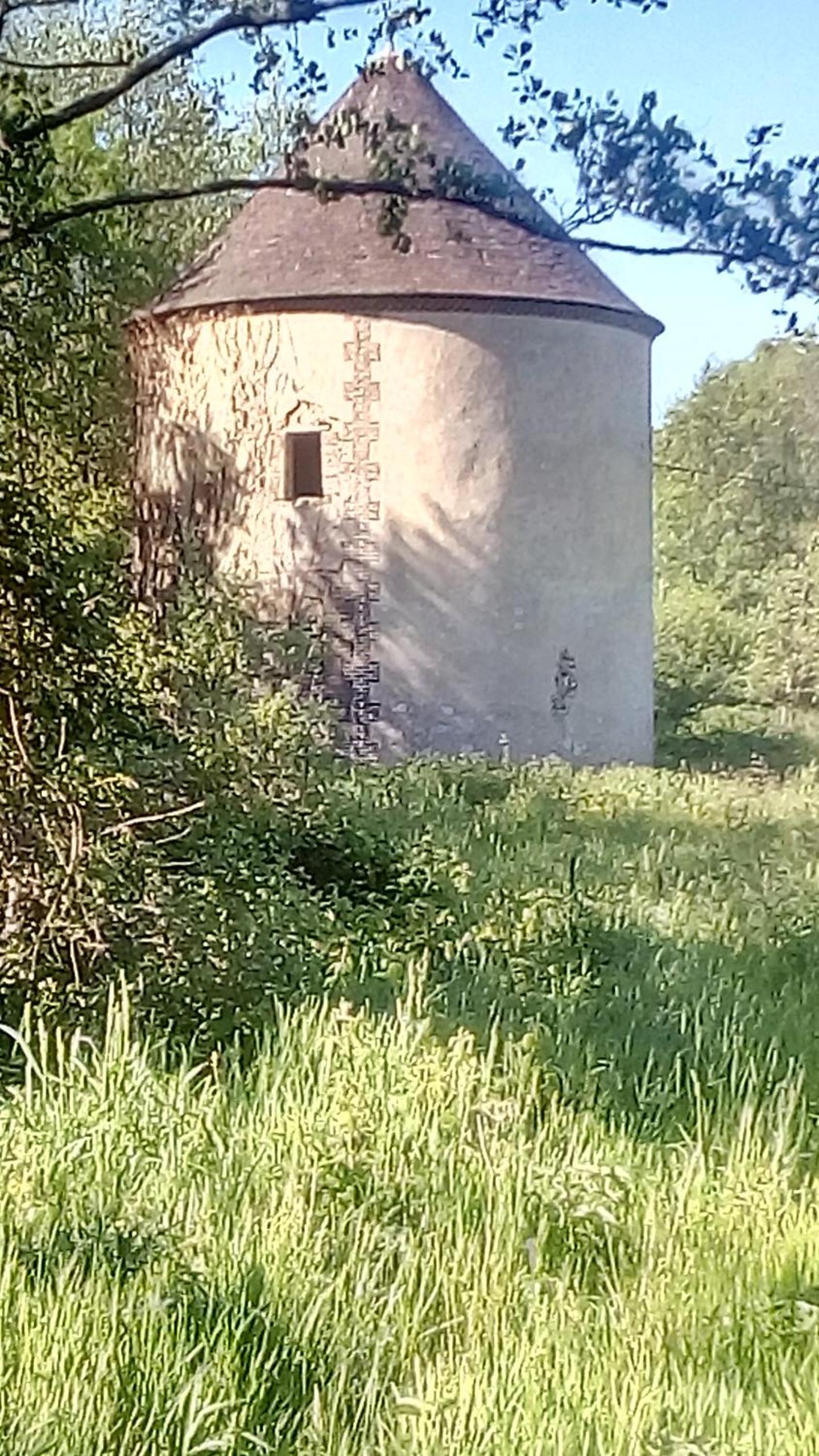 Photo 31