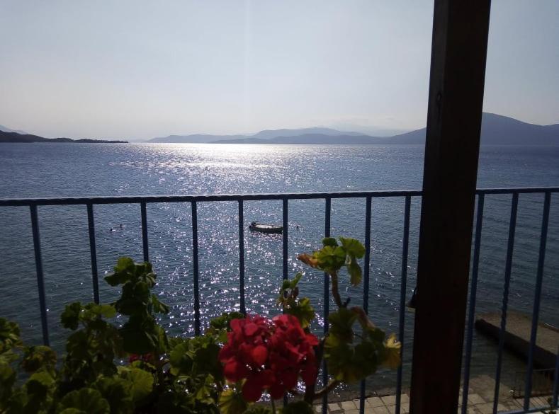 Papas Rooms on the Seafront view 3
