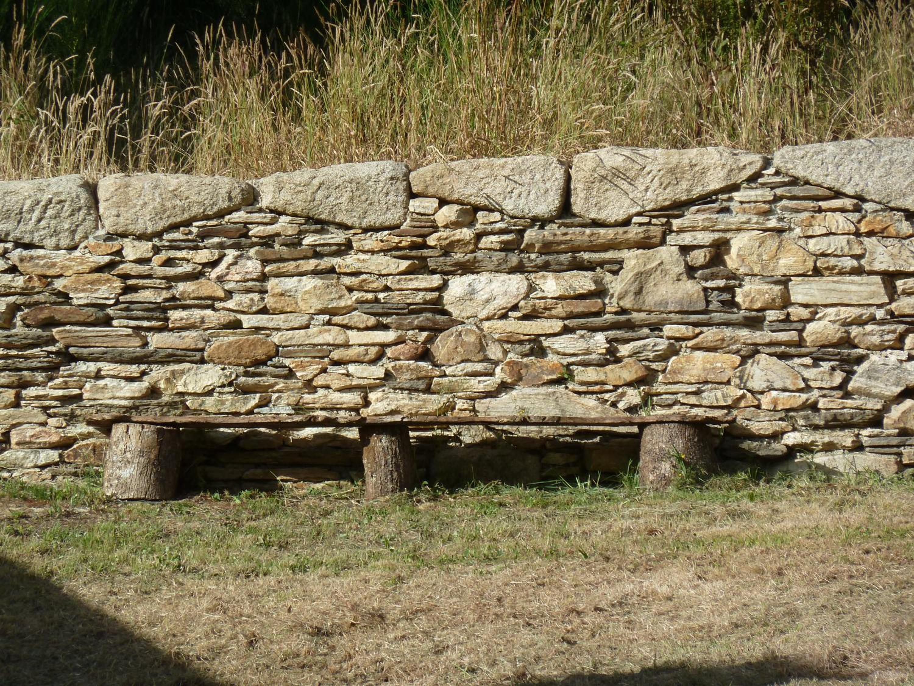 Os NOVOS photo 2