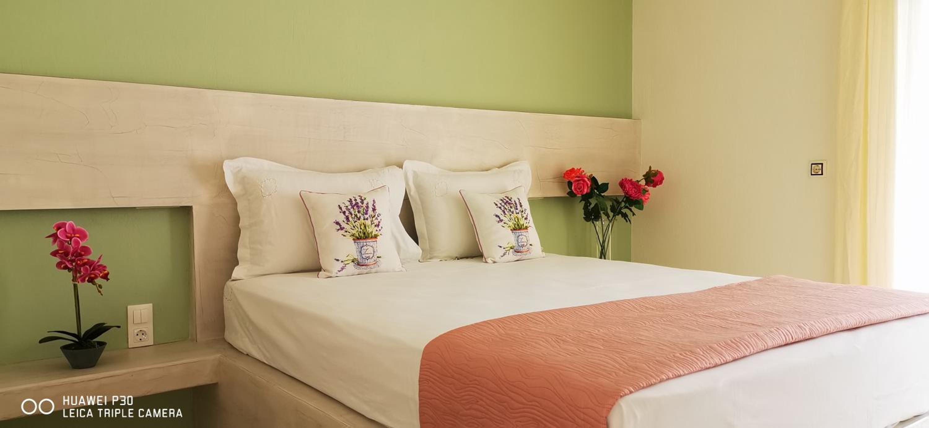 Central Thassos Apartment 3 view 2