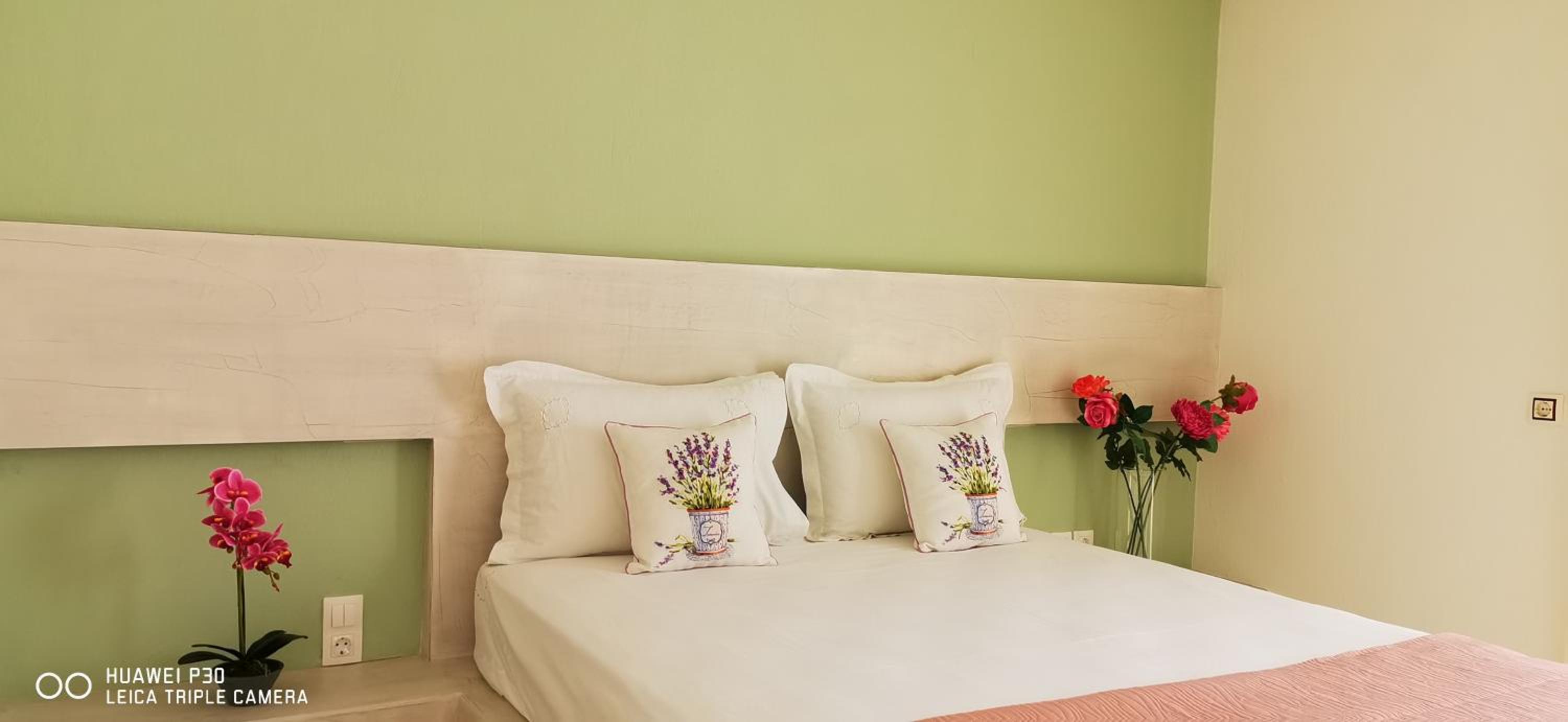 Central Thassos Apartment 3 view 4